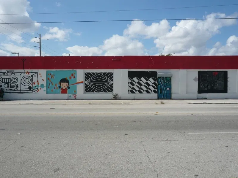 Wynwood Art District