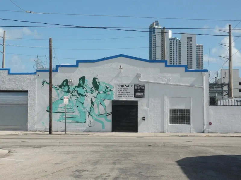 Wynwood Art District