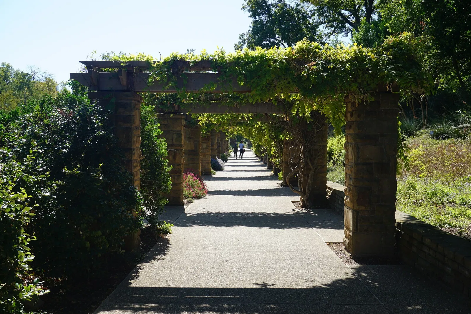 Jardín botánico de Fort Worth