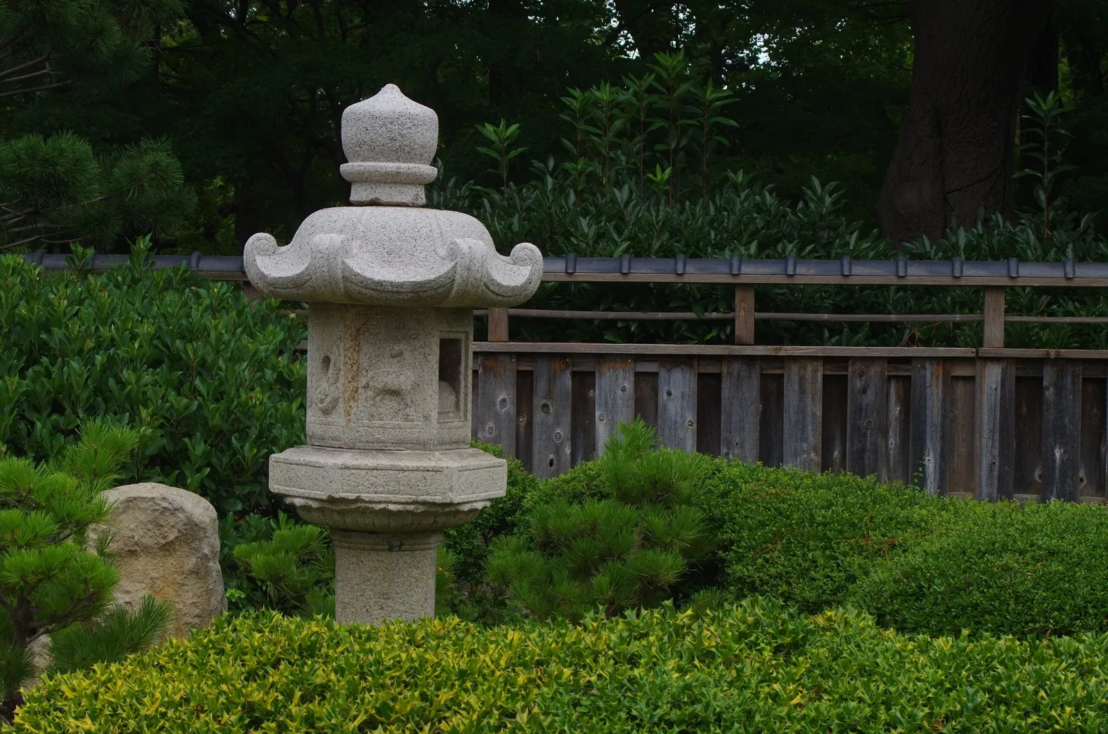 Jardín botánico de Fort Worth