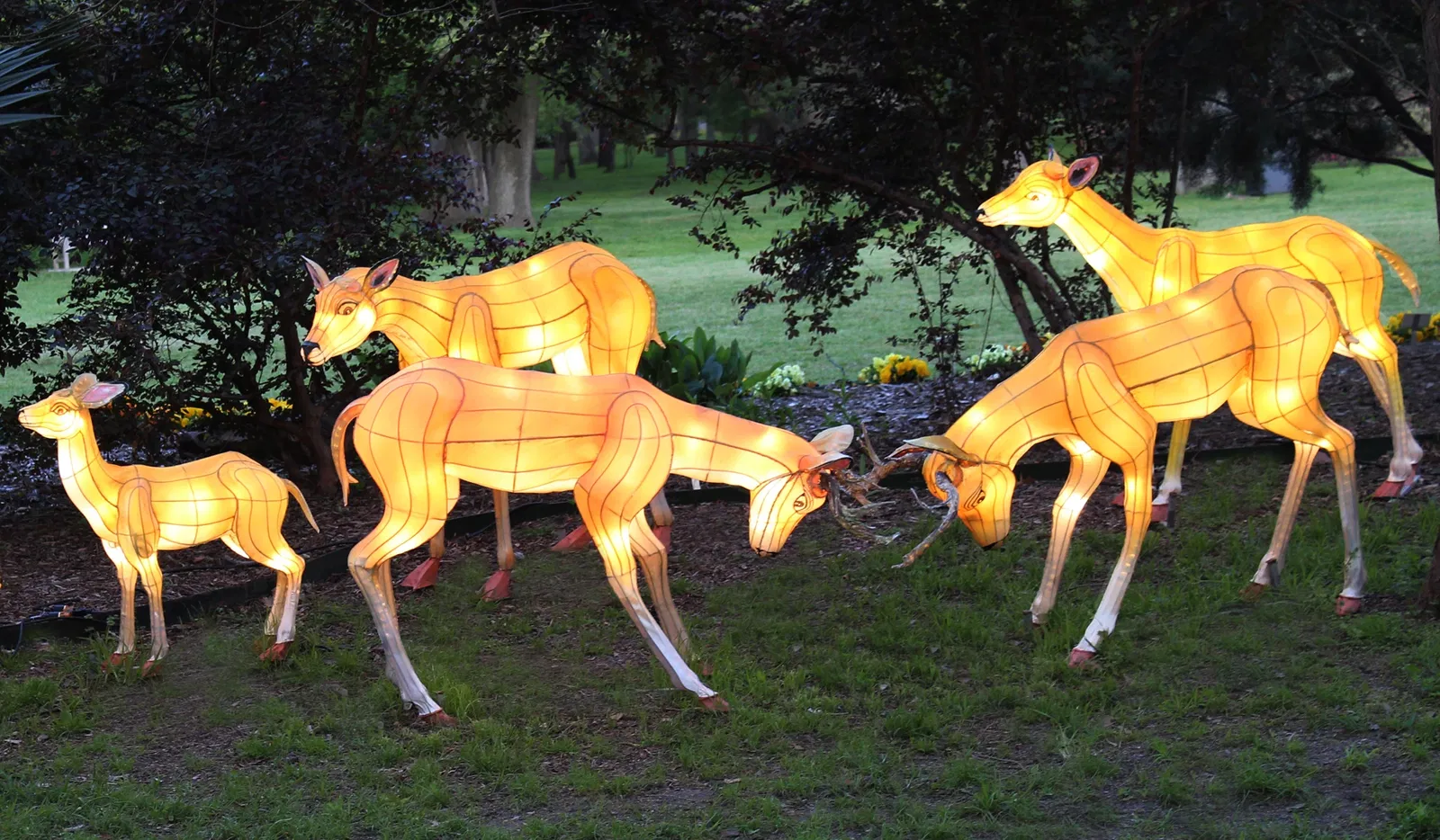 Jardín botánico de Fort Worth