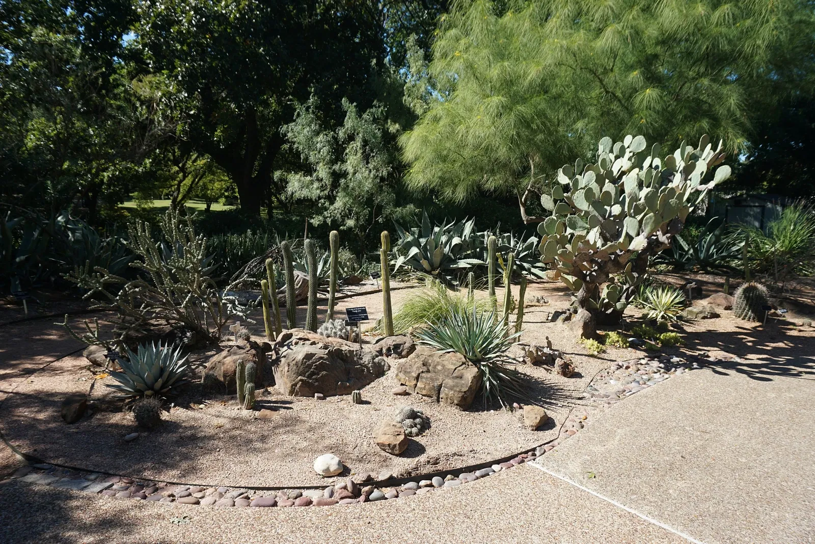 Jardín botánico de Fort Worth