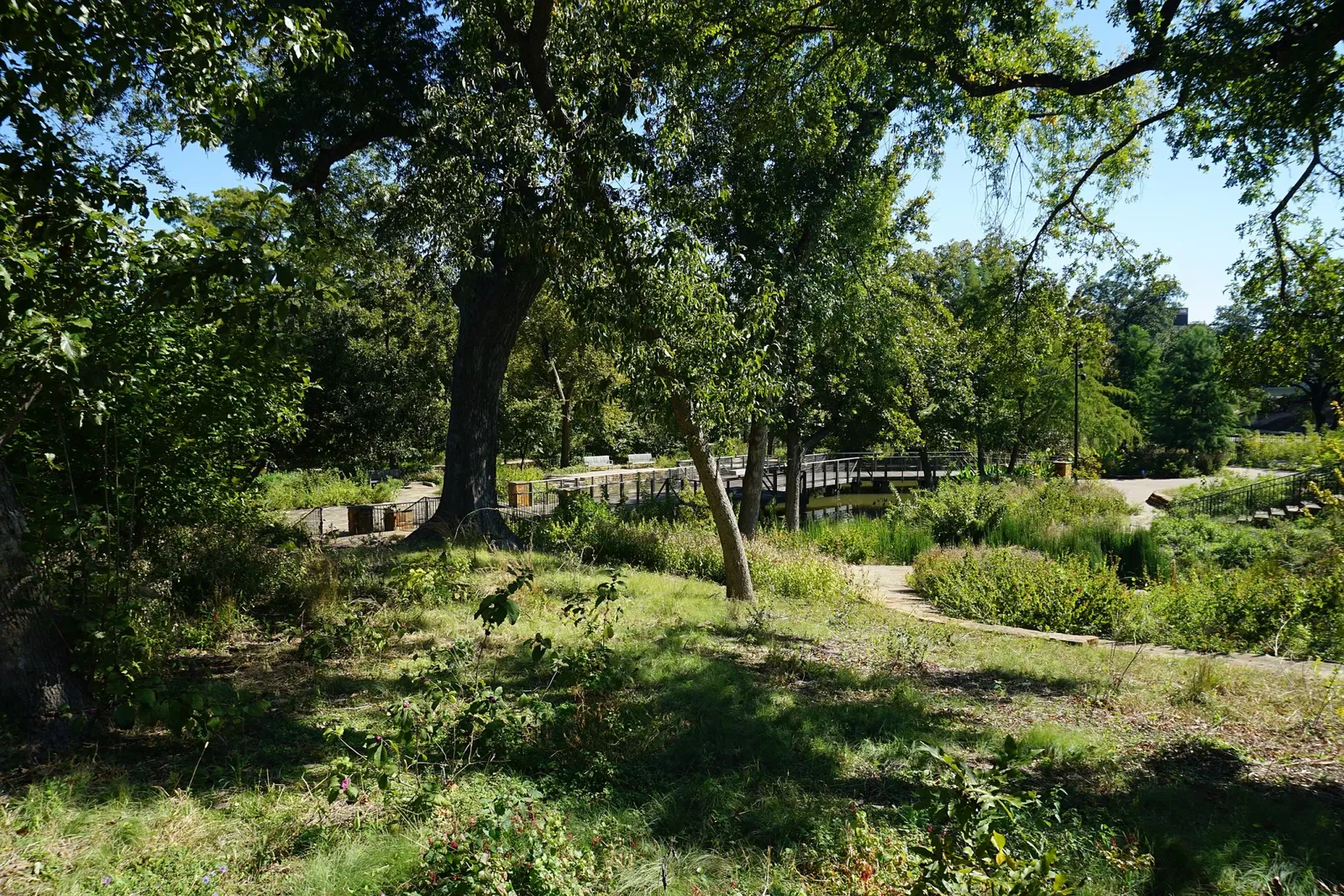 Jardín botánico de Fort Worth