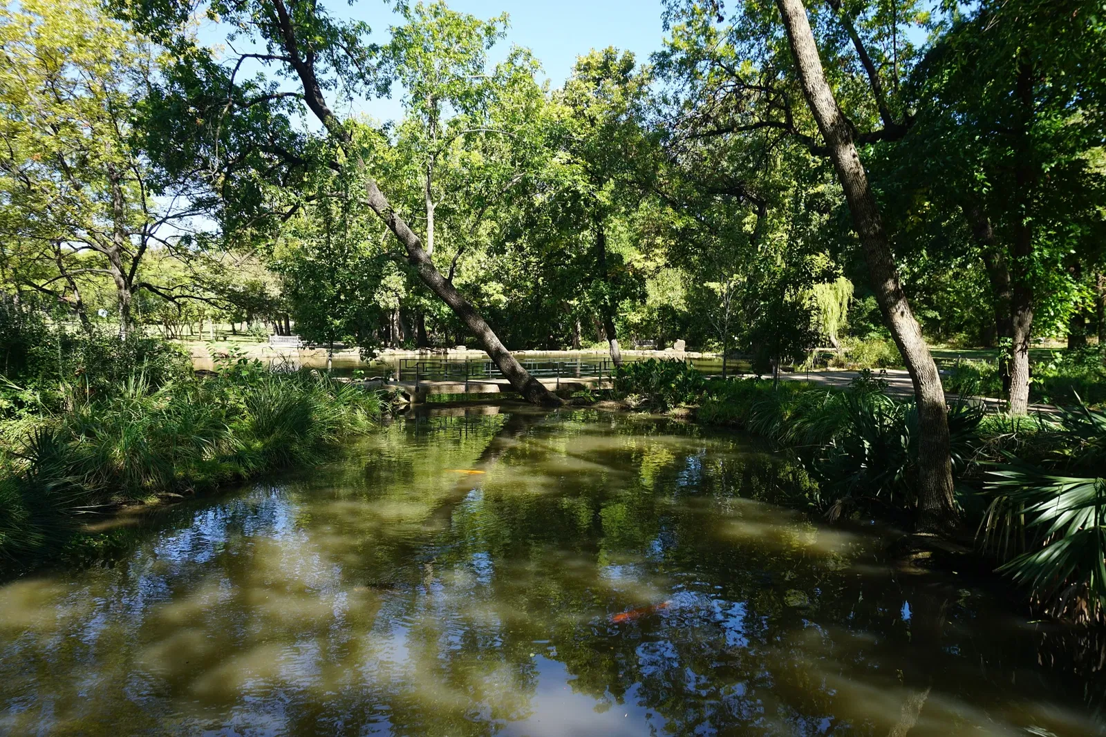 Jardín botánico de Fort Worth