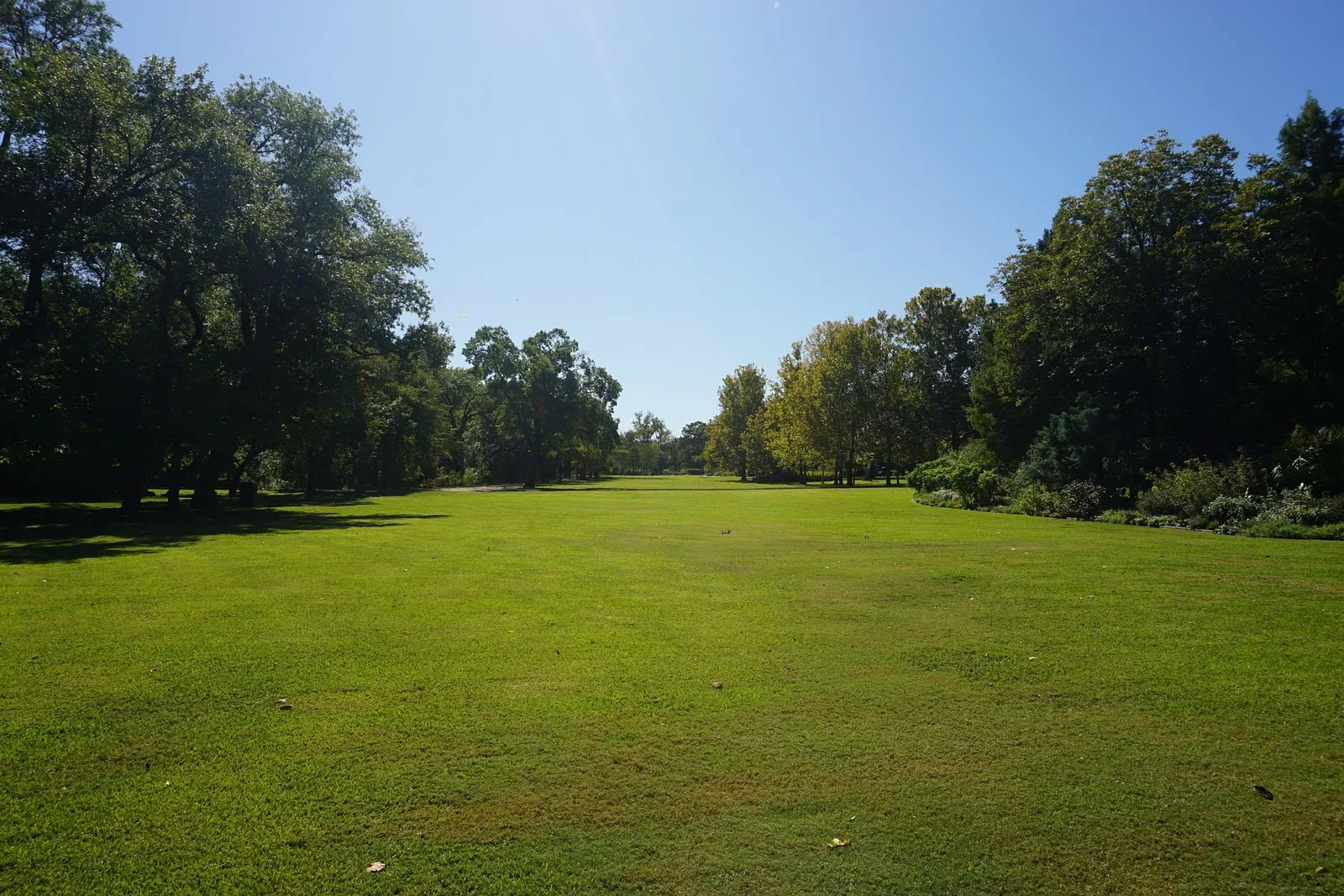 Jardín botánico de Fort Worth
