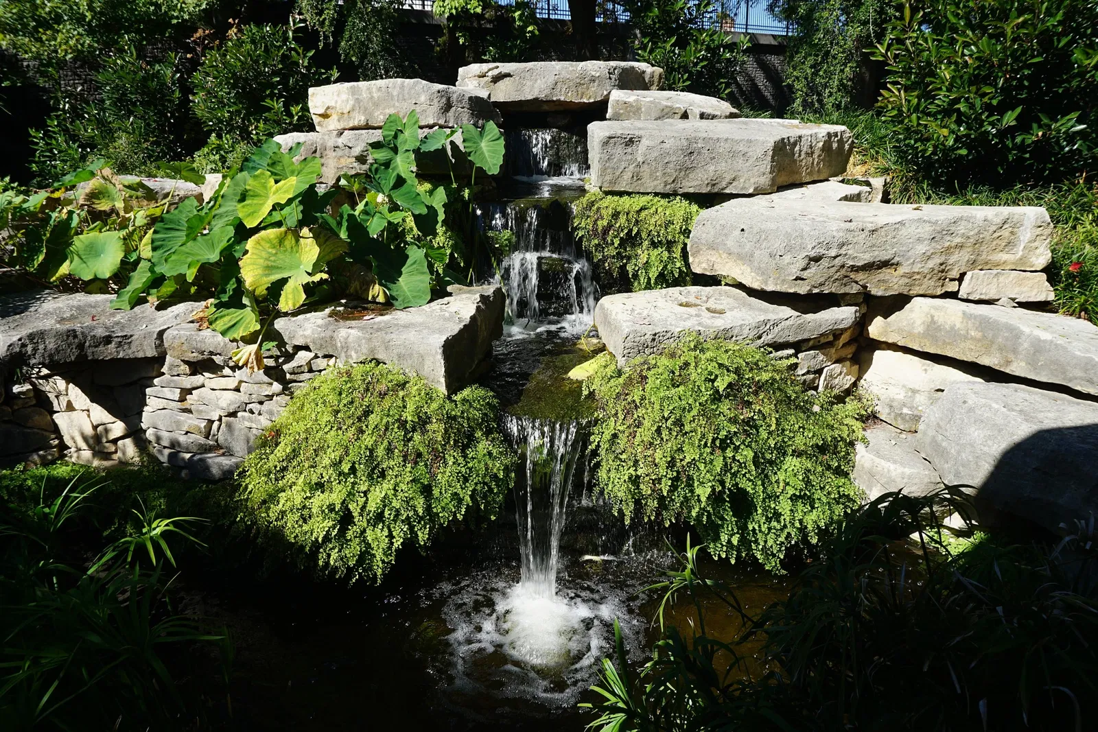 Jardín botánico de Fort Worth