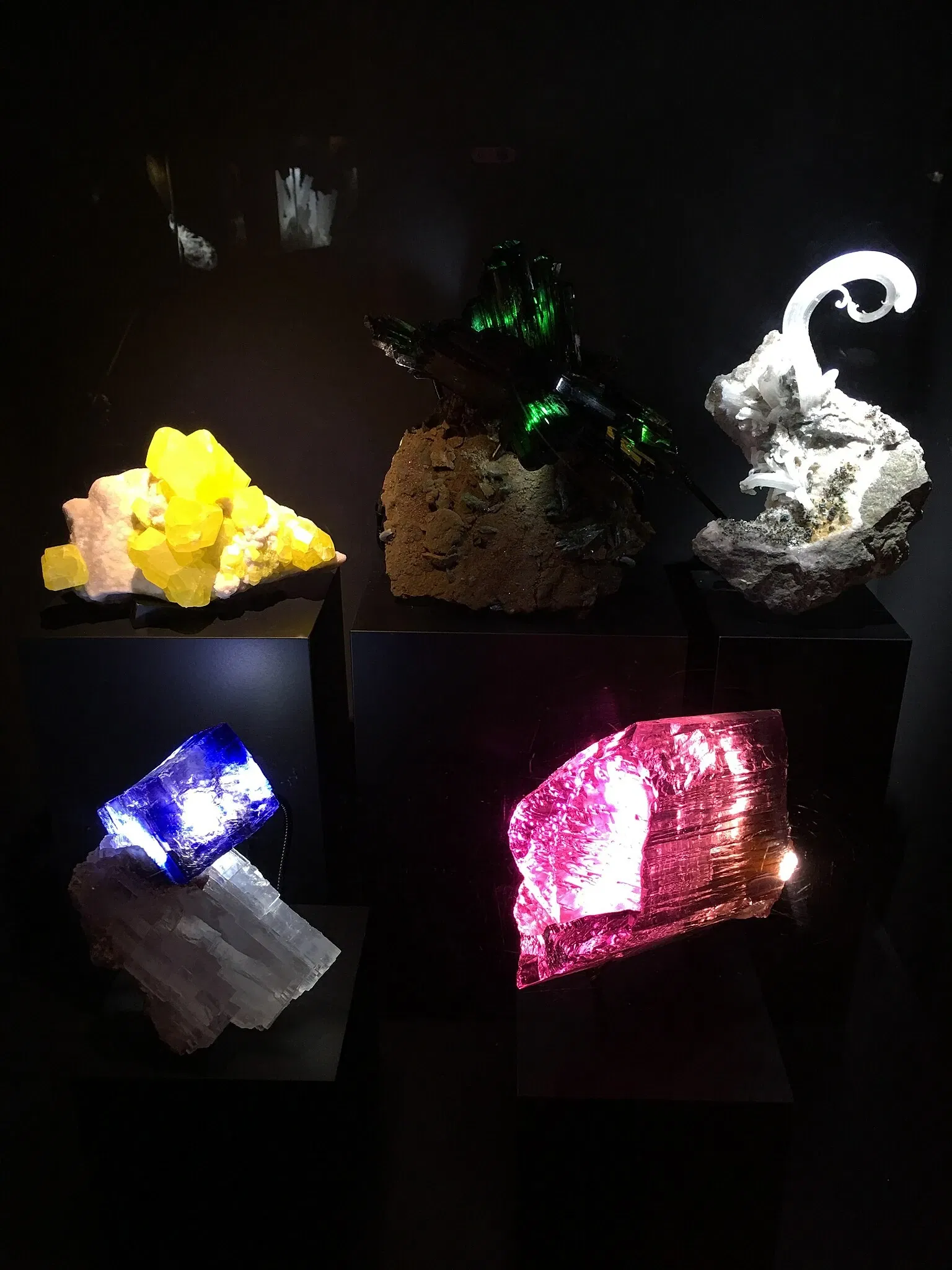 Perot Museum of Nature and Science