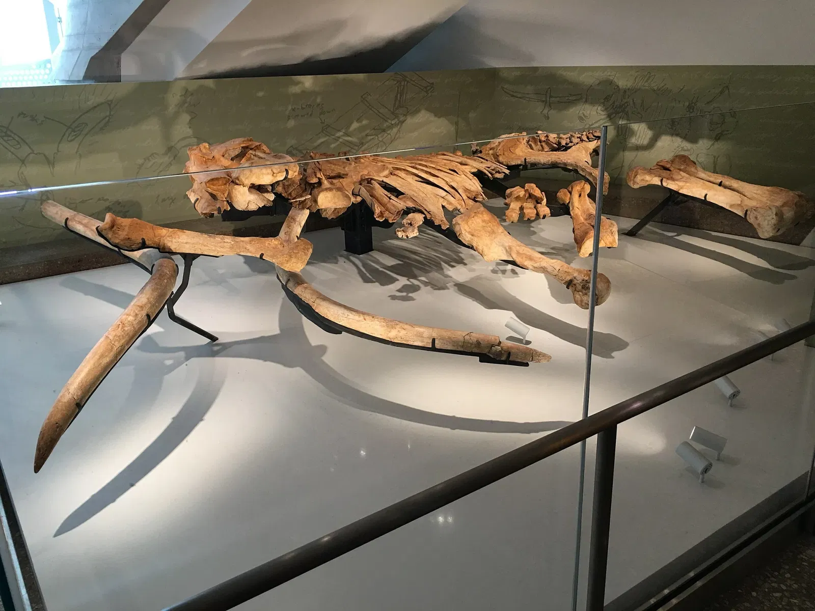 Perot Museum of Nature and Science