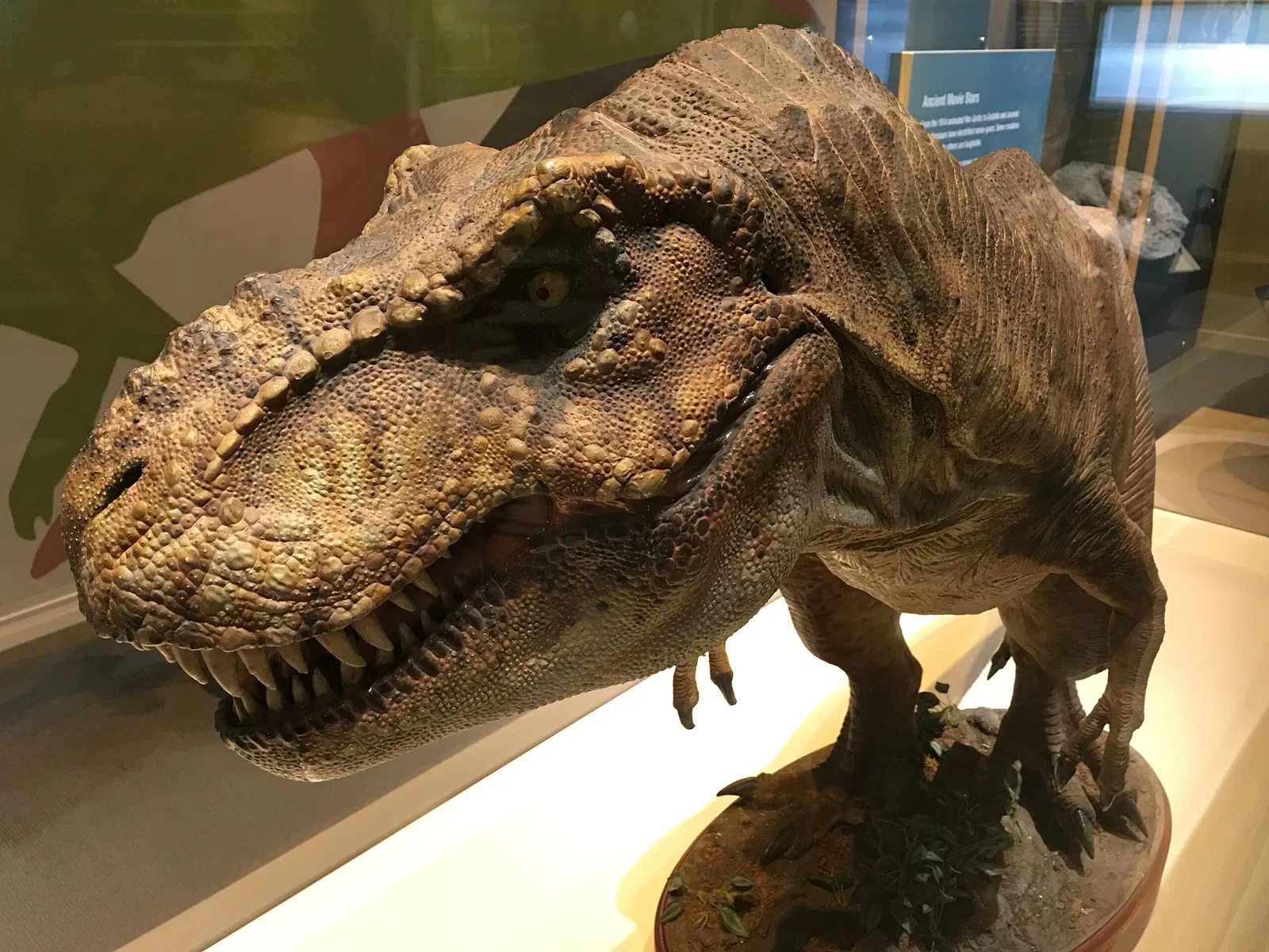 Perot Museum of Nature and Science