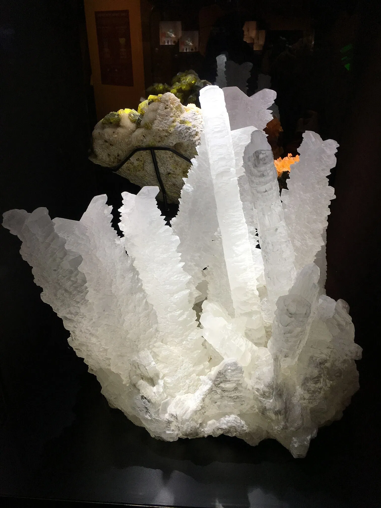 Perot Museum of Nature and Science