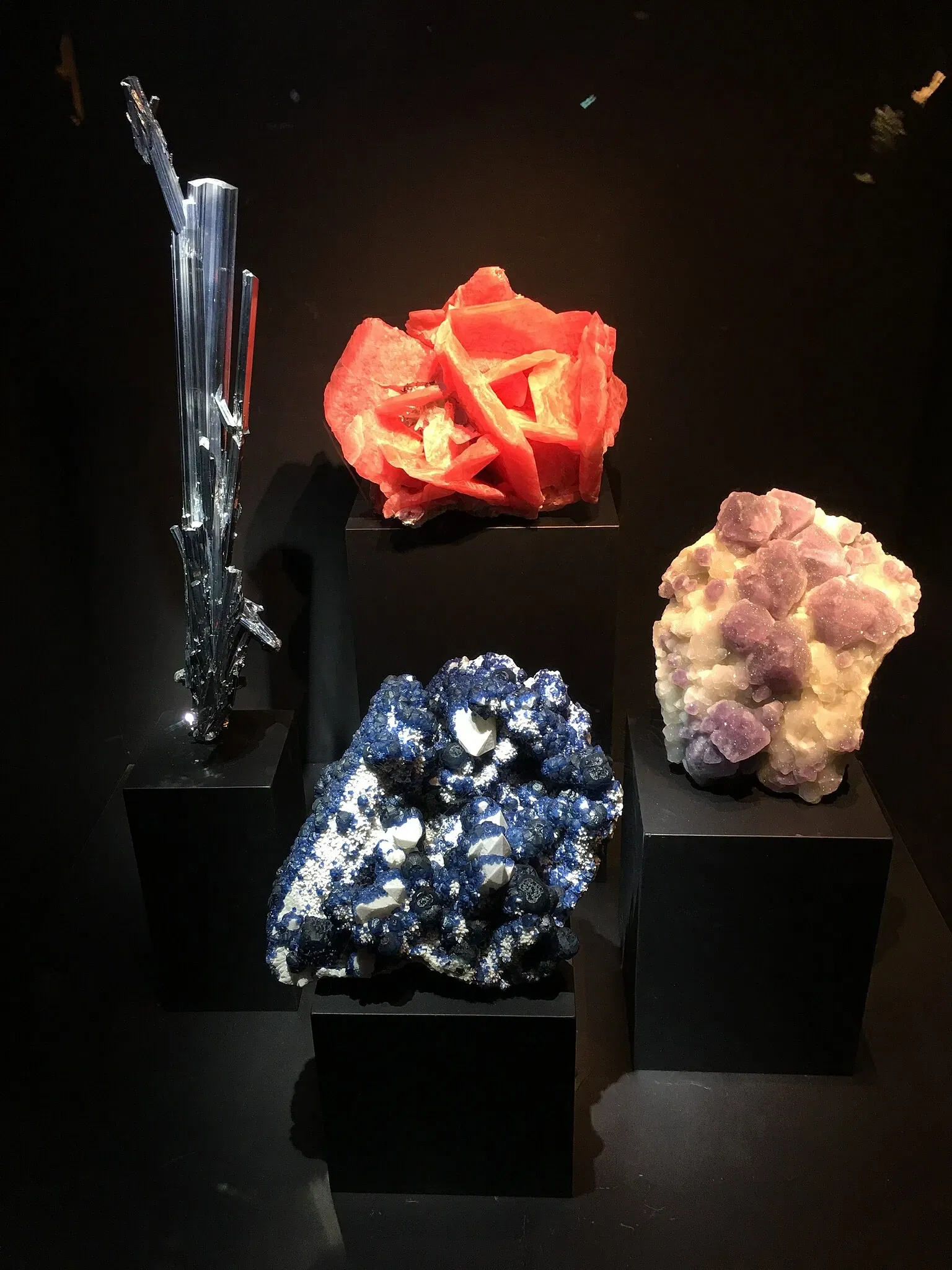 Perot Museum of Nature and Science