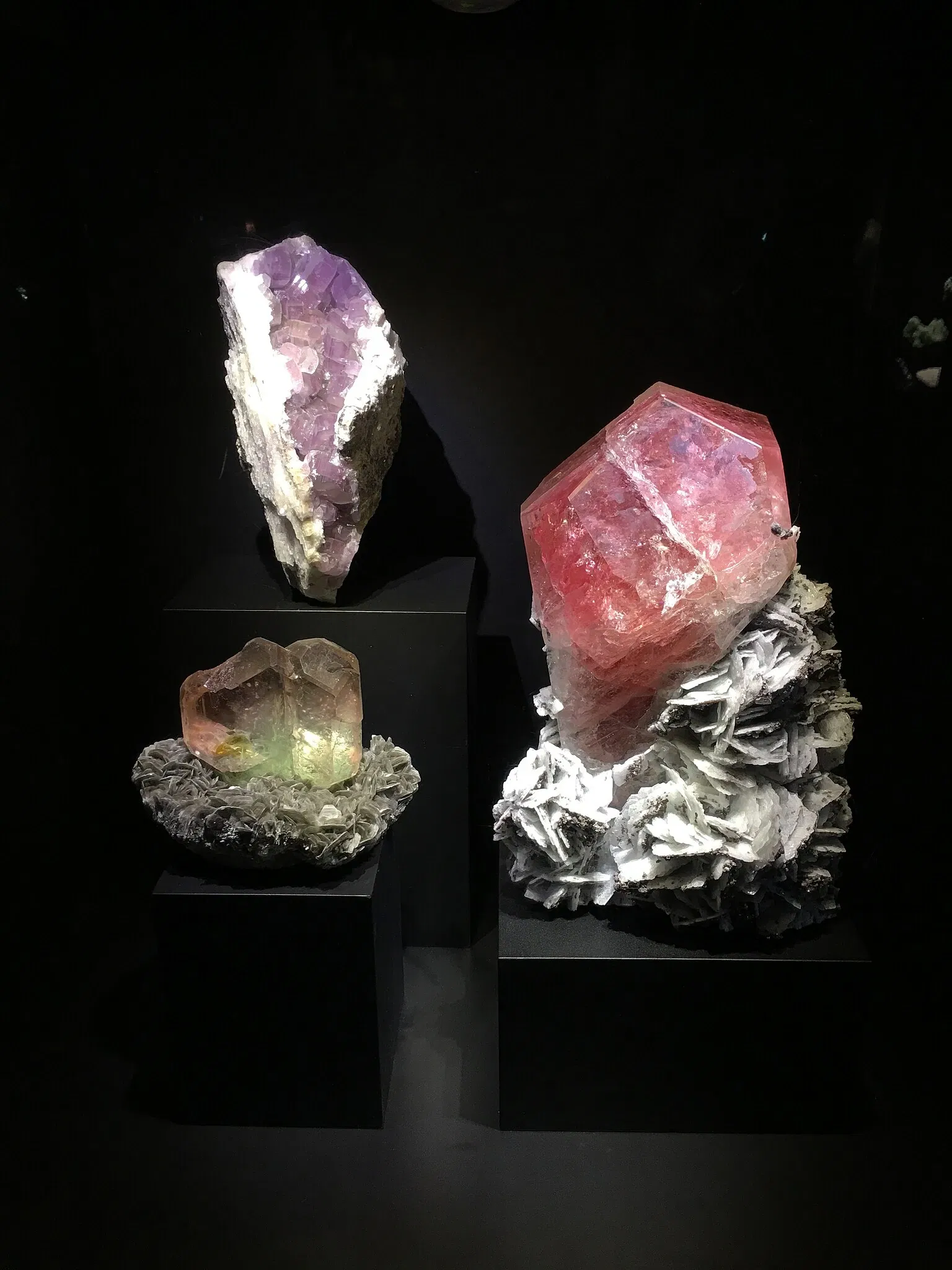 Perot Museum of Nature and Science