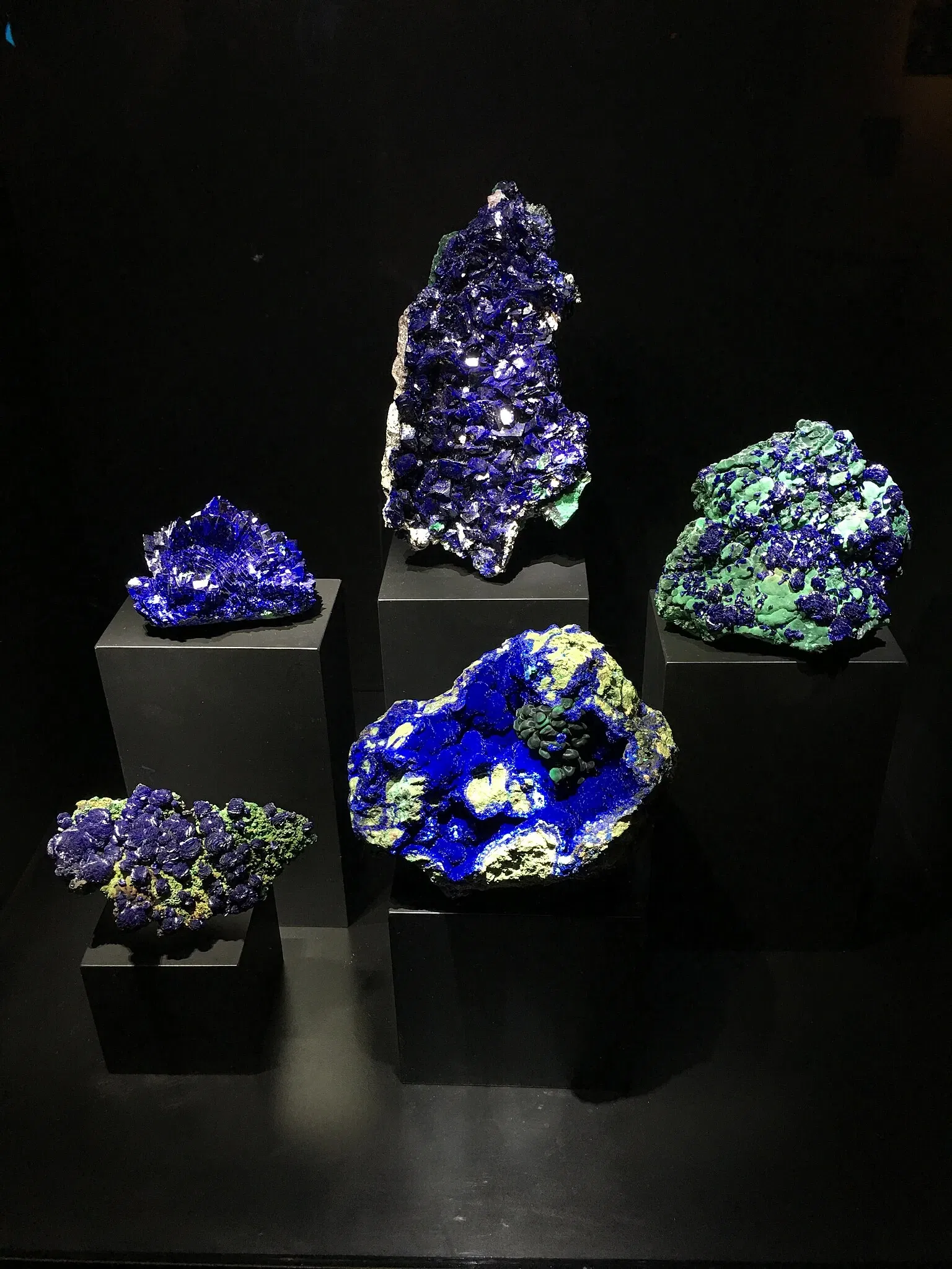 Perot Museum of Nature and Science