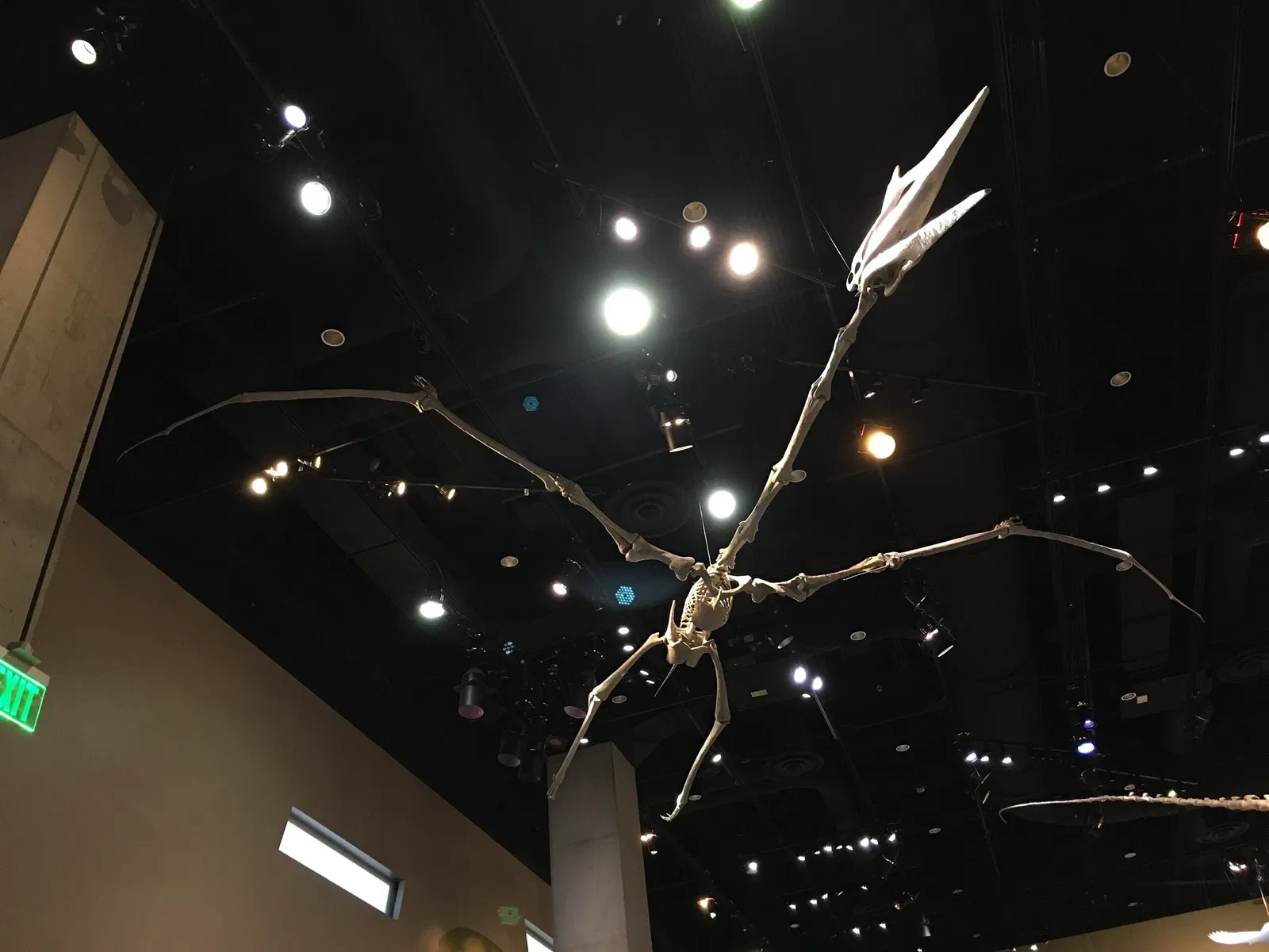 Perot Museum of Nature and Science