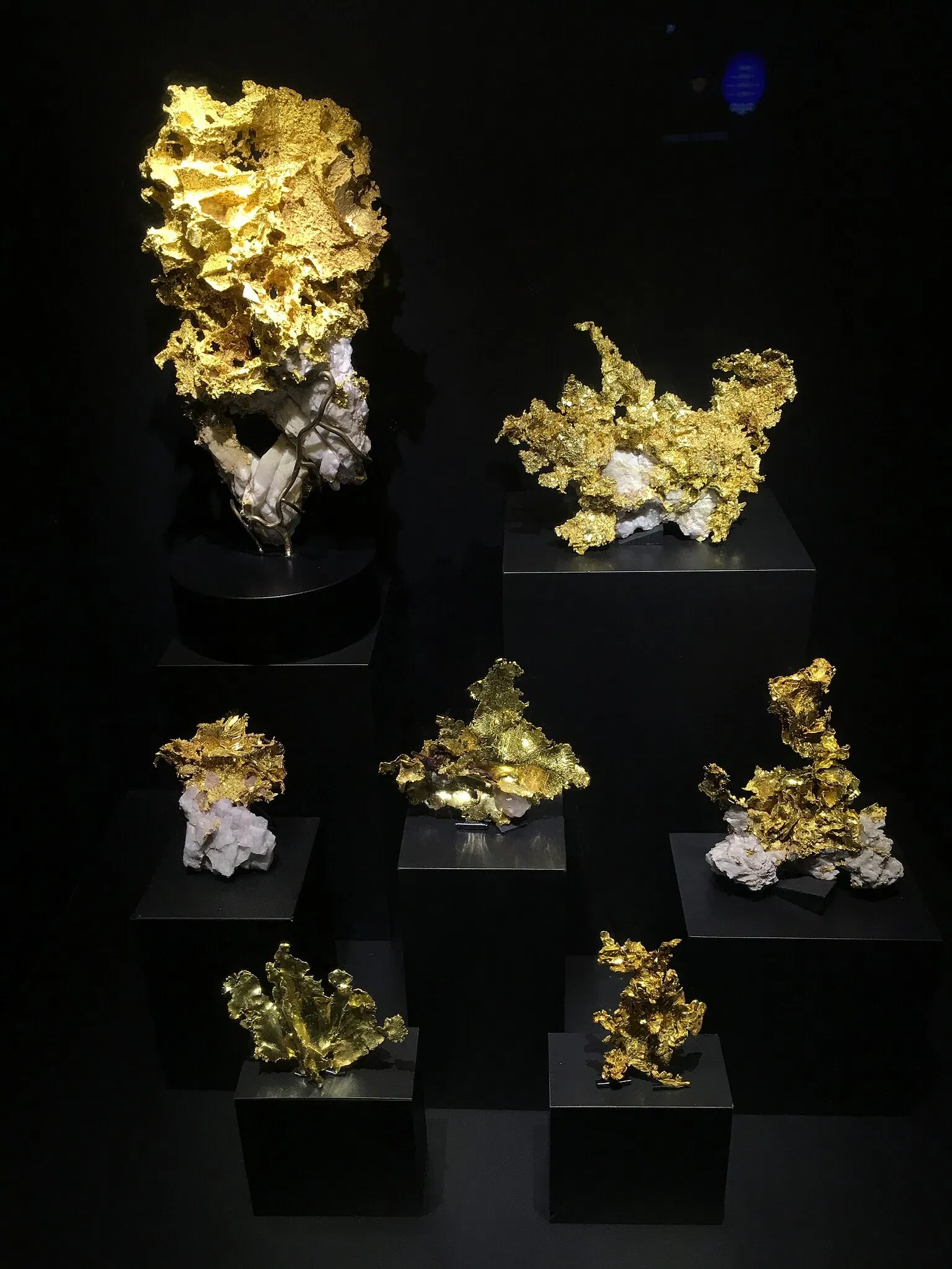 Perot Museum of Nature and Science