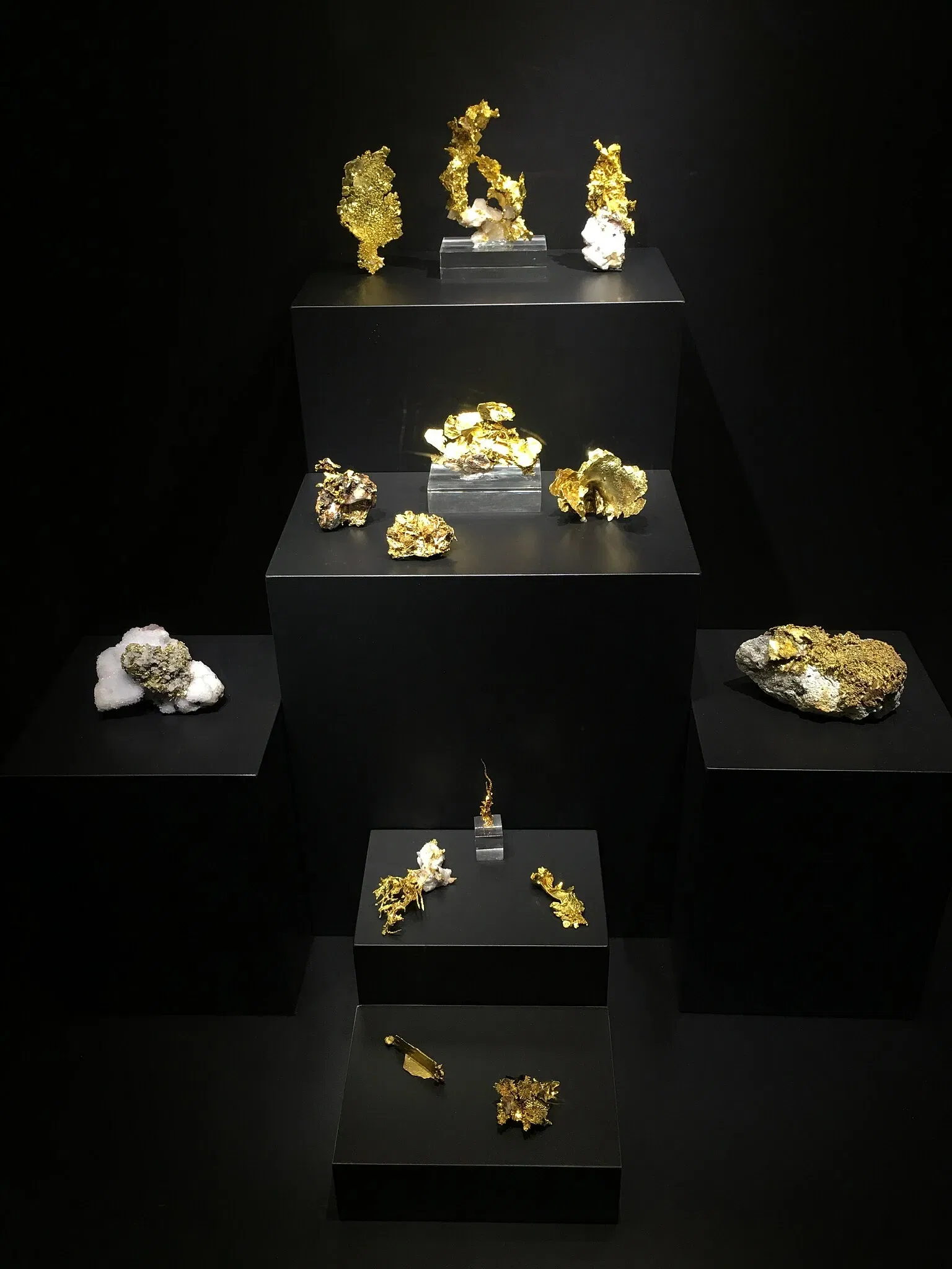 Perot Museum of Nature and Science