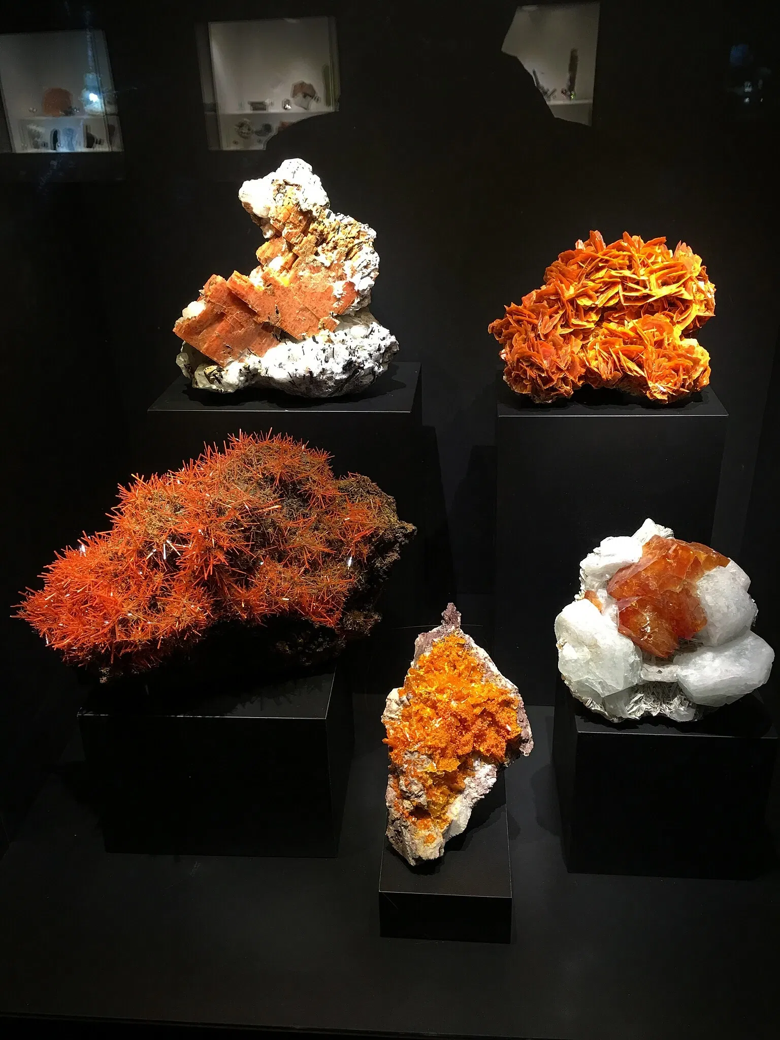 Perot Museum of Nature and Science