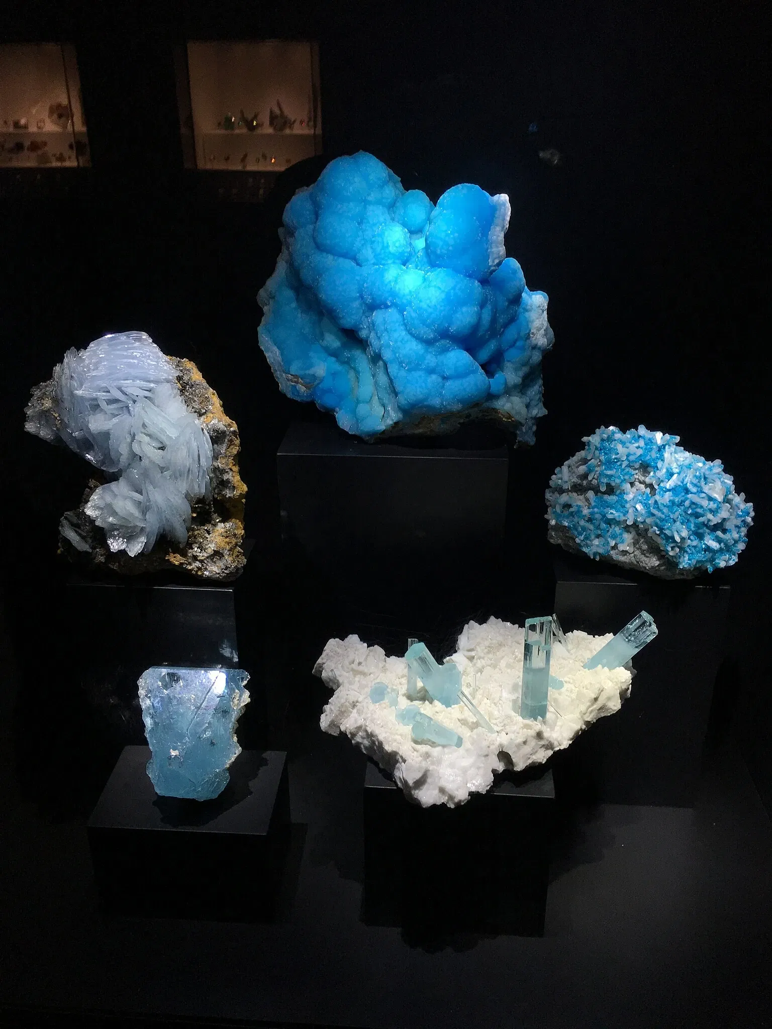 Perot Museum of Nature and Science