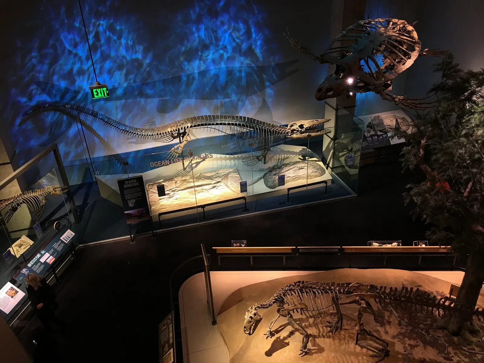 Perot Museum of Nature and Science