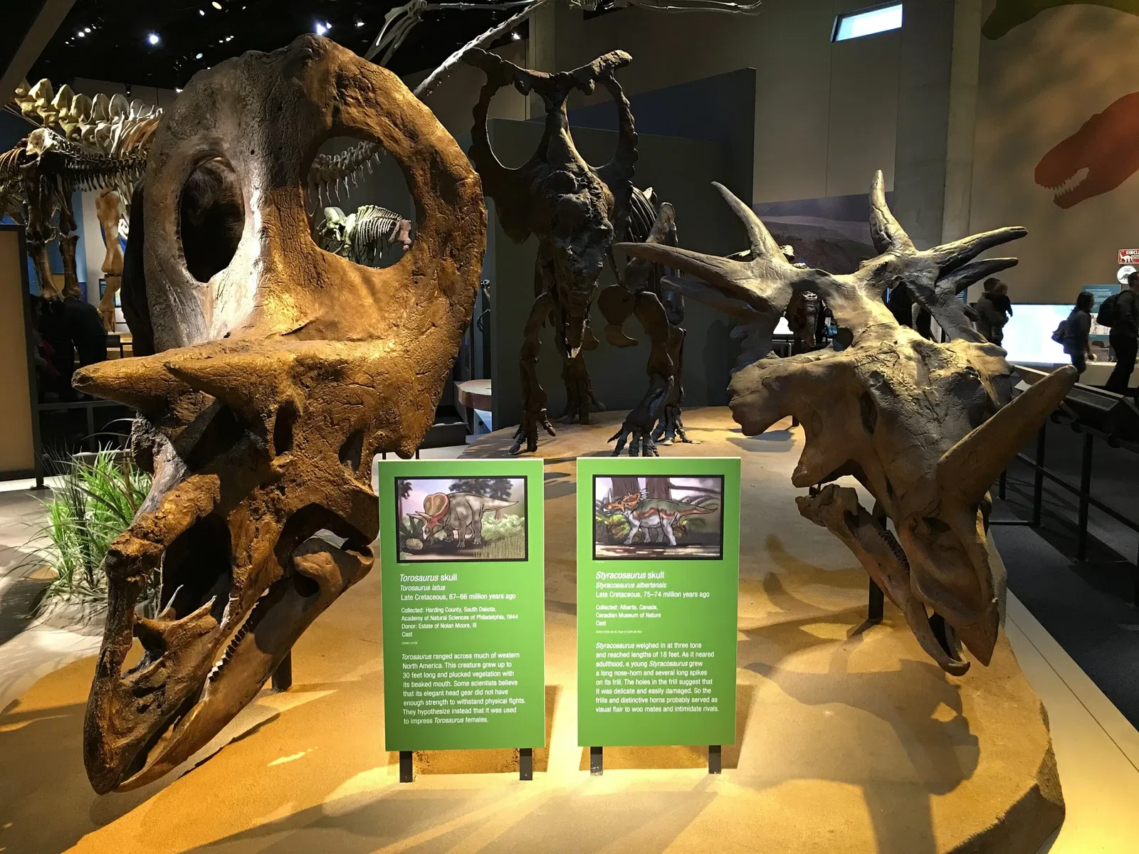 Perot Museum of Nature and Science
