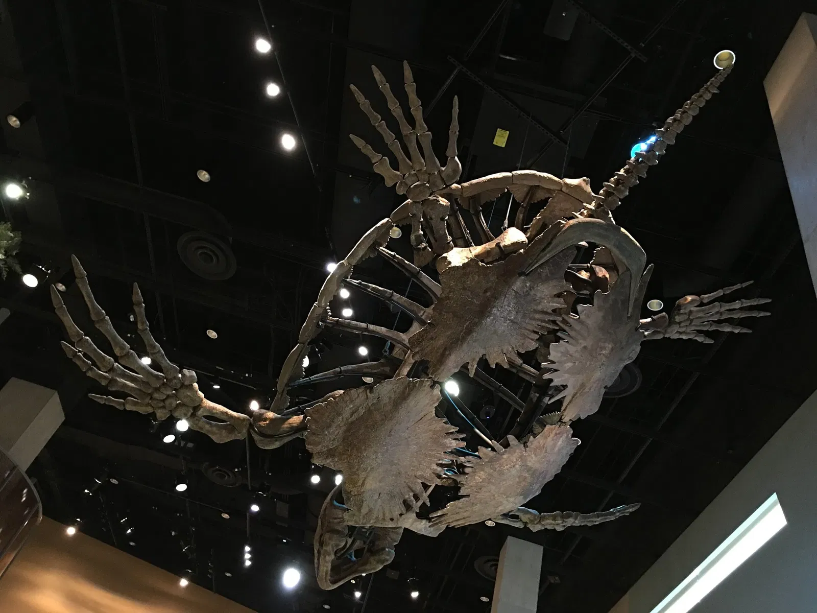 Perot Museum of Nature and Science