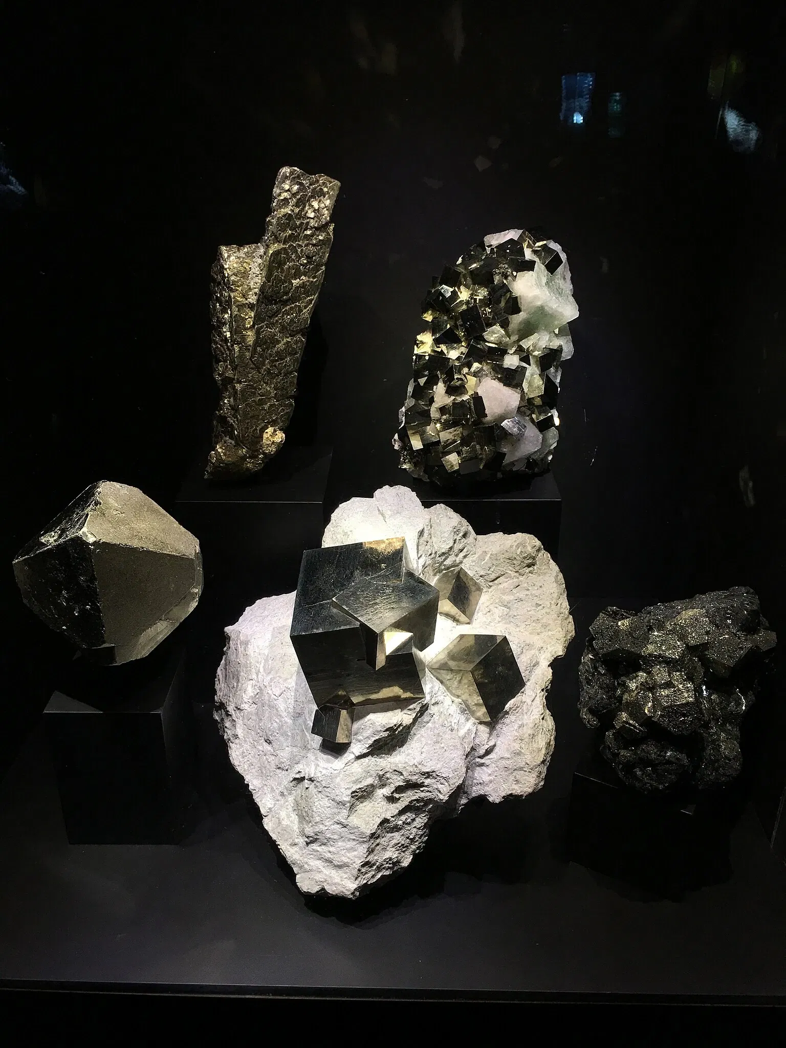 Perot Museum of Nature and Science