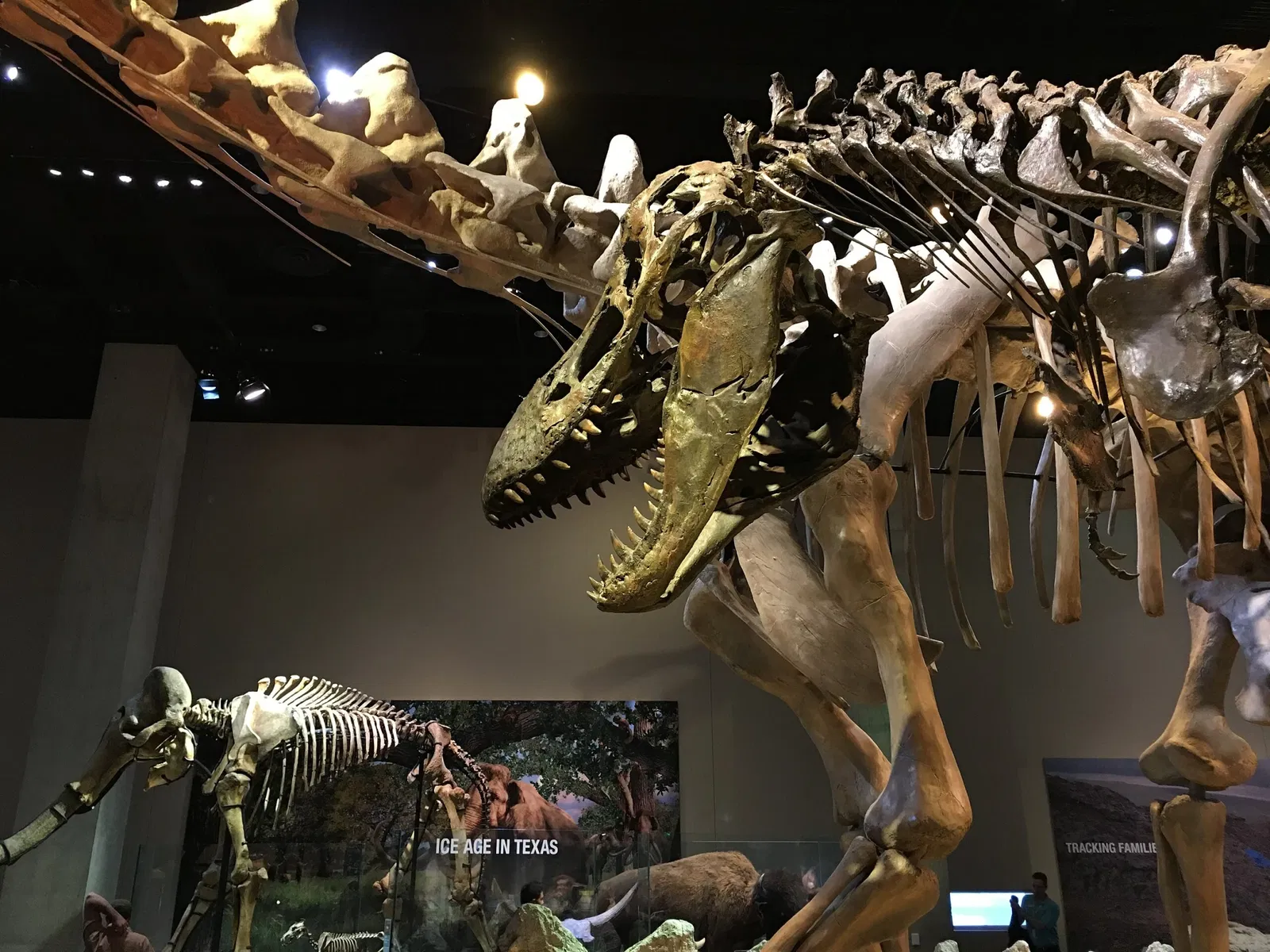 Perot Museum of Nature and Science