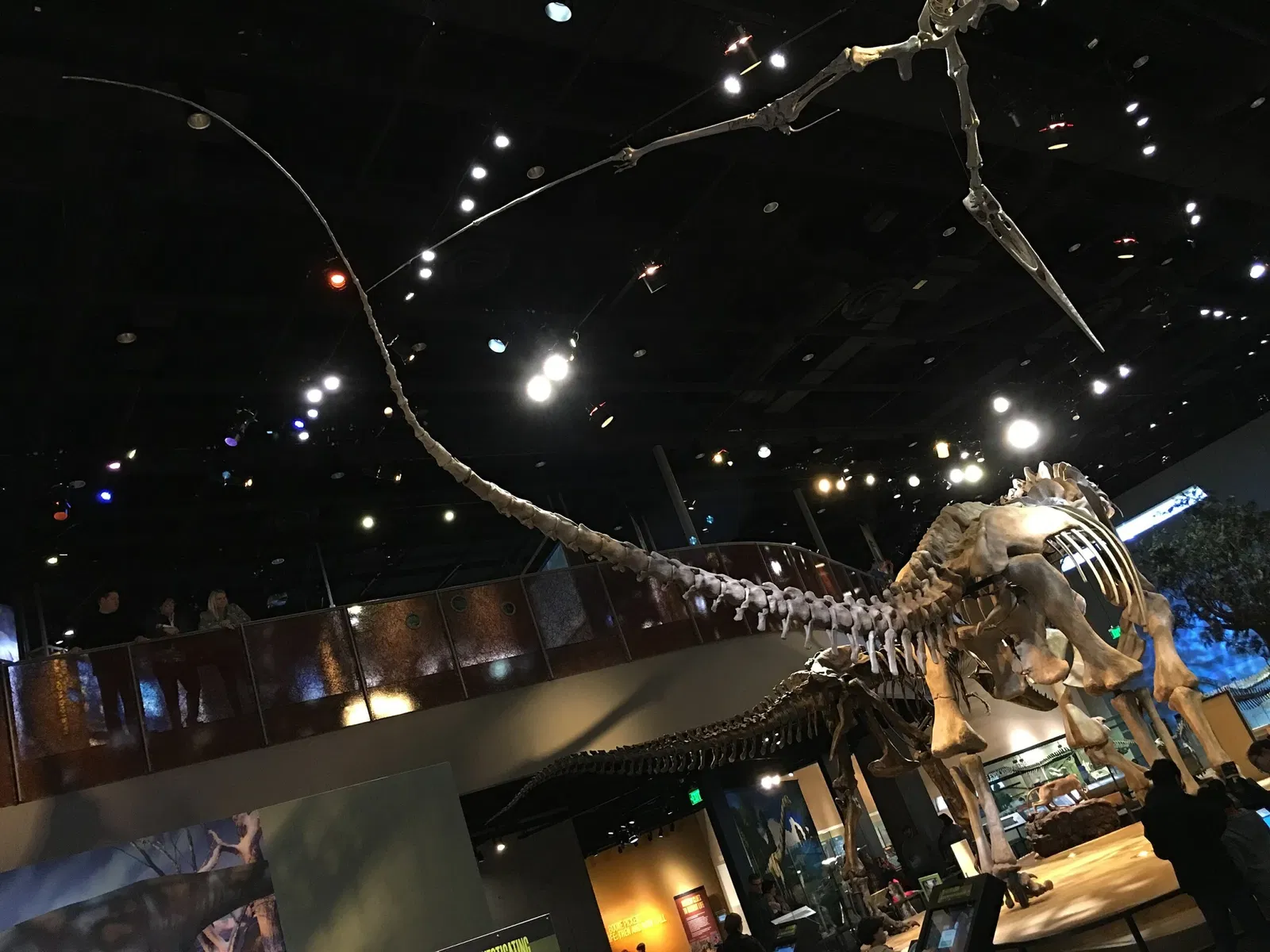 Perot Museum of Nature and Science