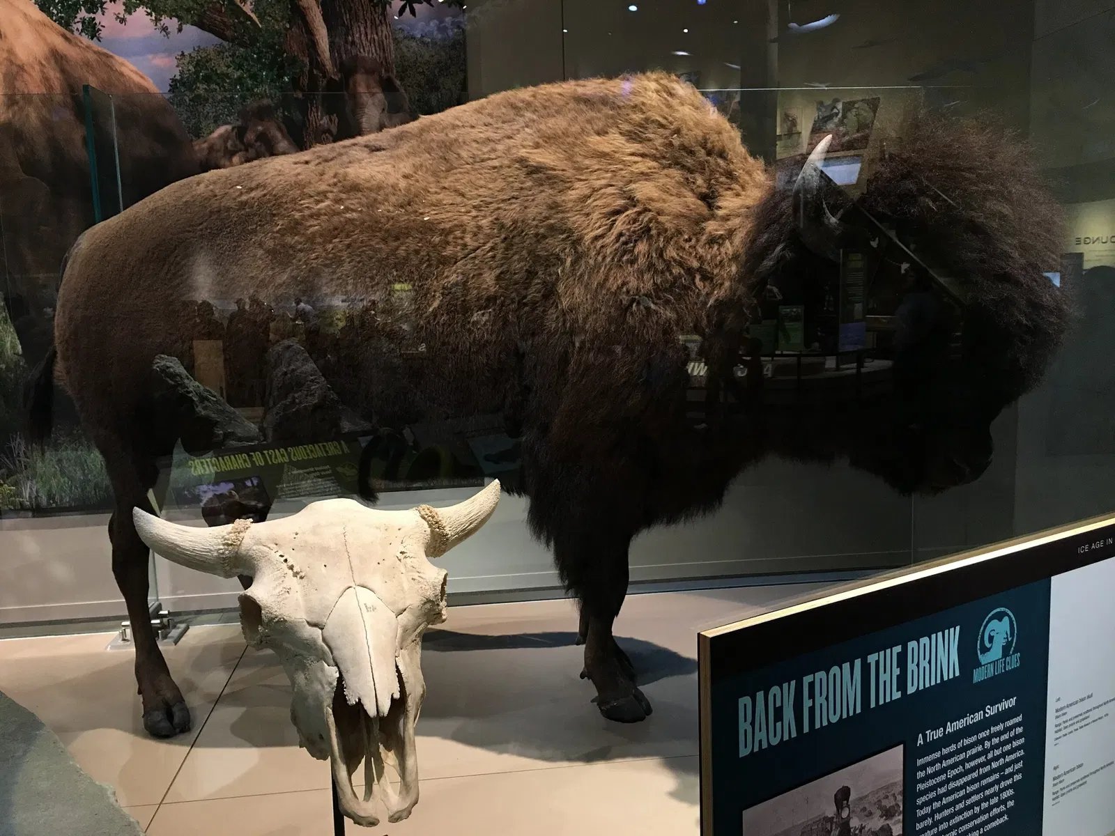 Perot Museum of Nature and Science