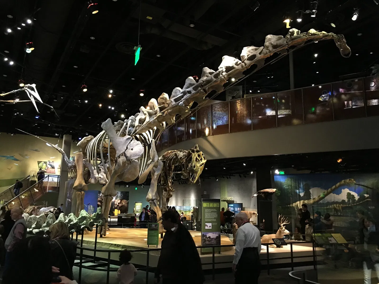 Perot Museum of Nature and Science