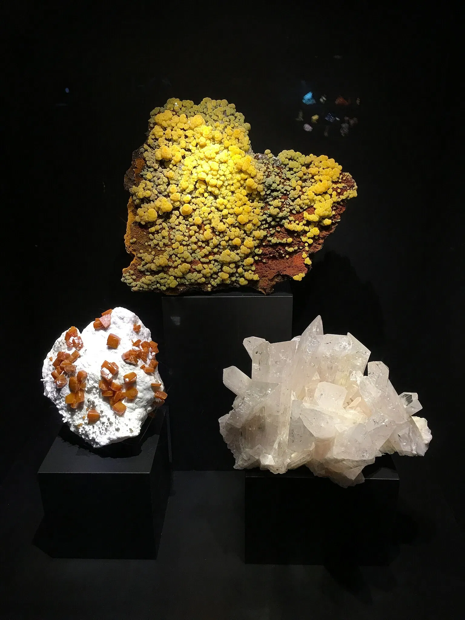 Perot Museum of Nature and Science