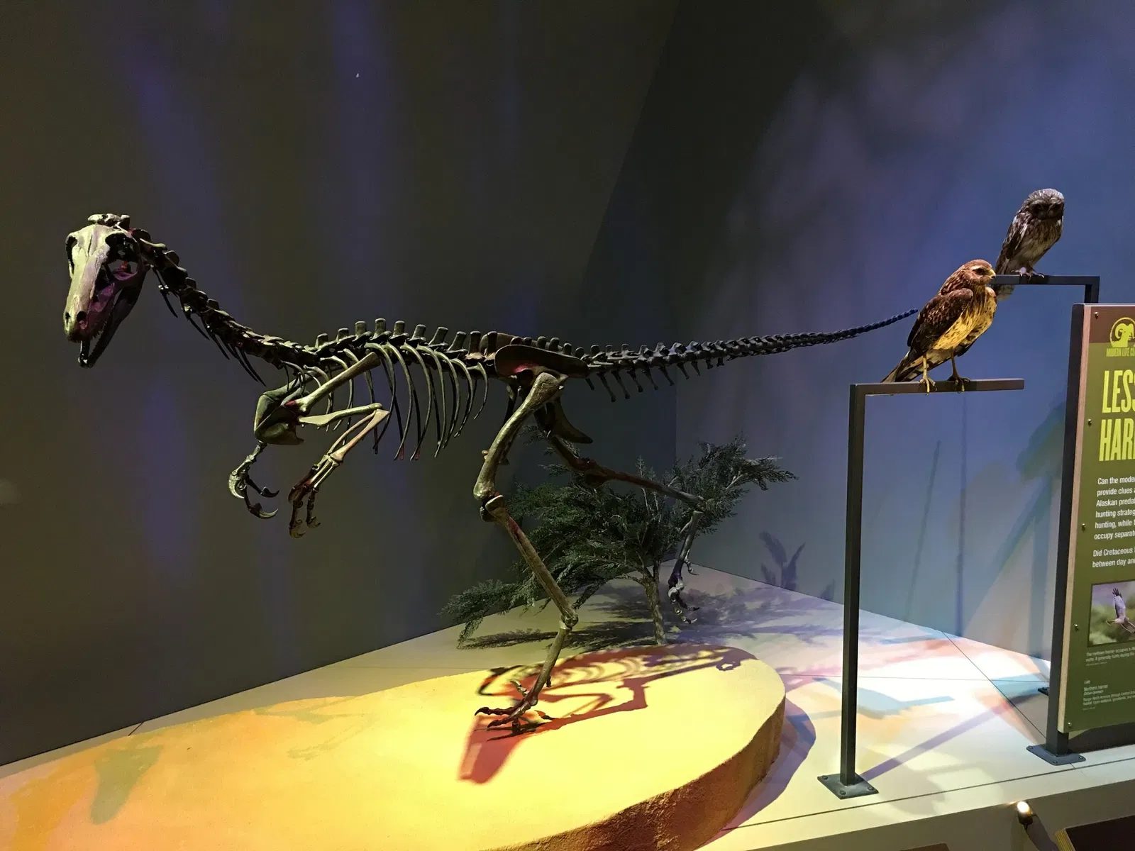 Perot Museum of Nature and Science