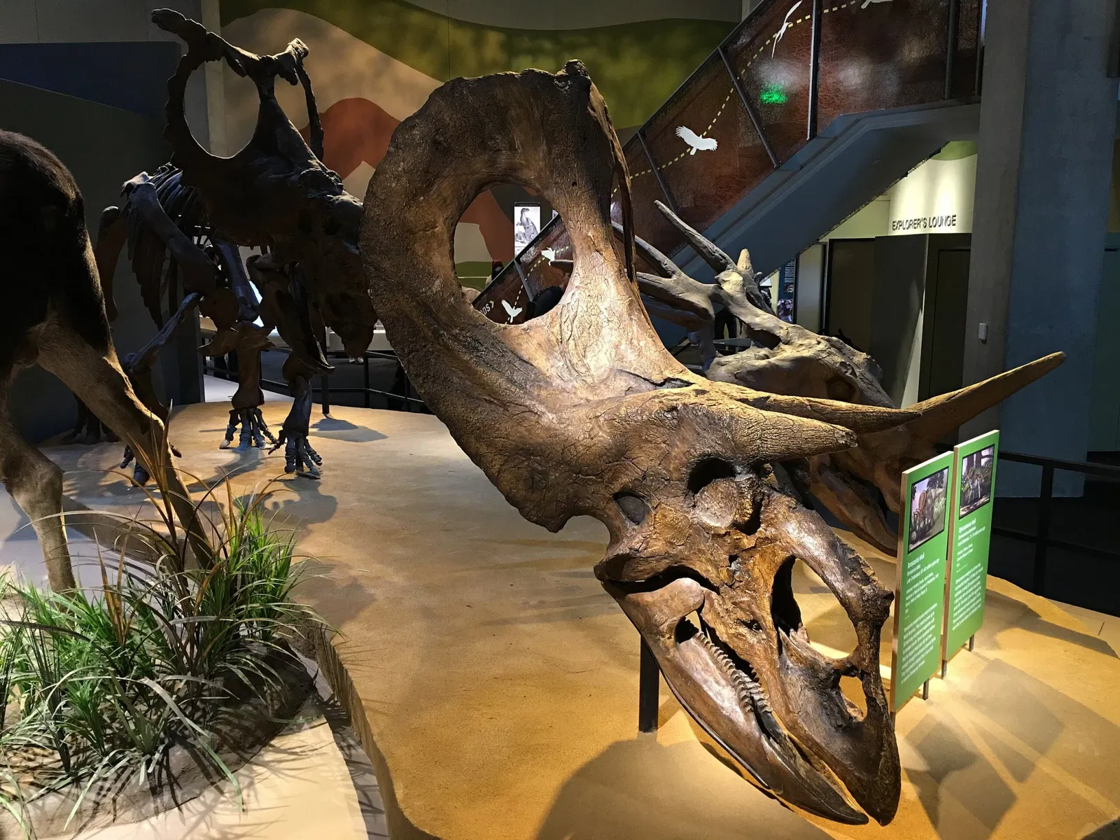 Perot Museum of Nature and Science