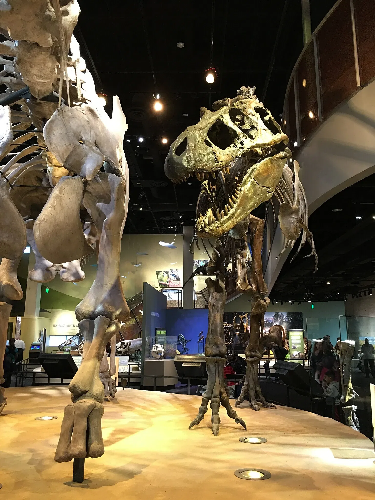 Perot Museum of Nature and Science