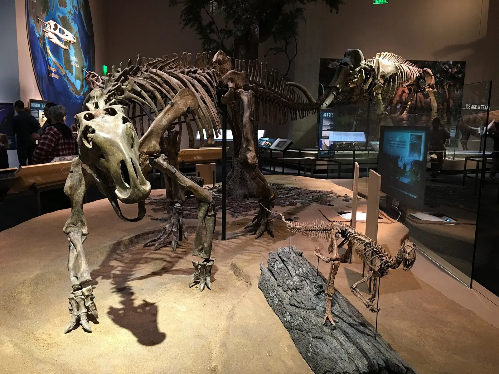 Perot Museum of Nature and Science