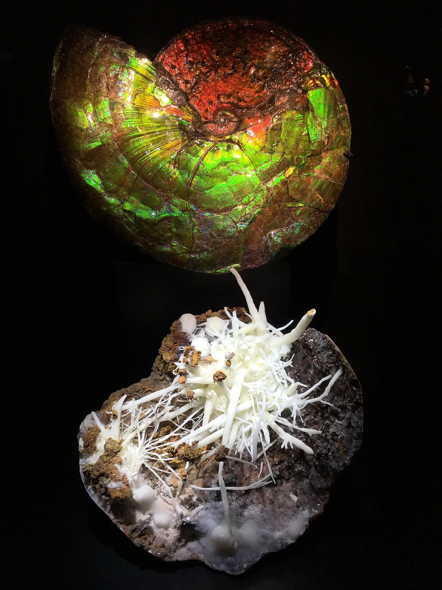 Perot Museum of Nature and Science