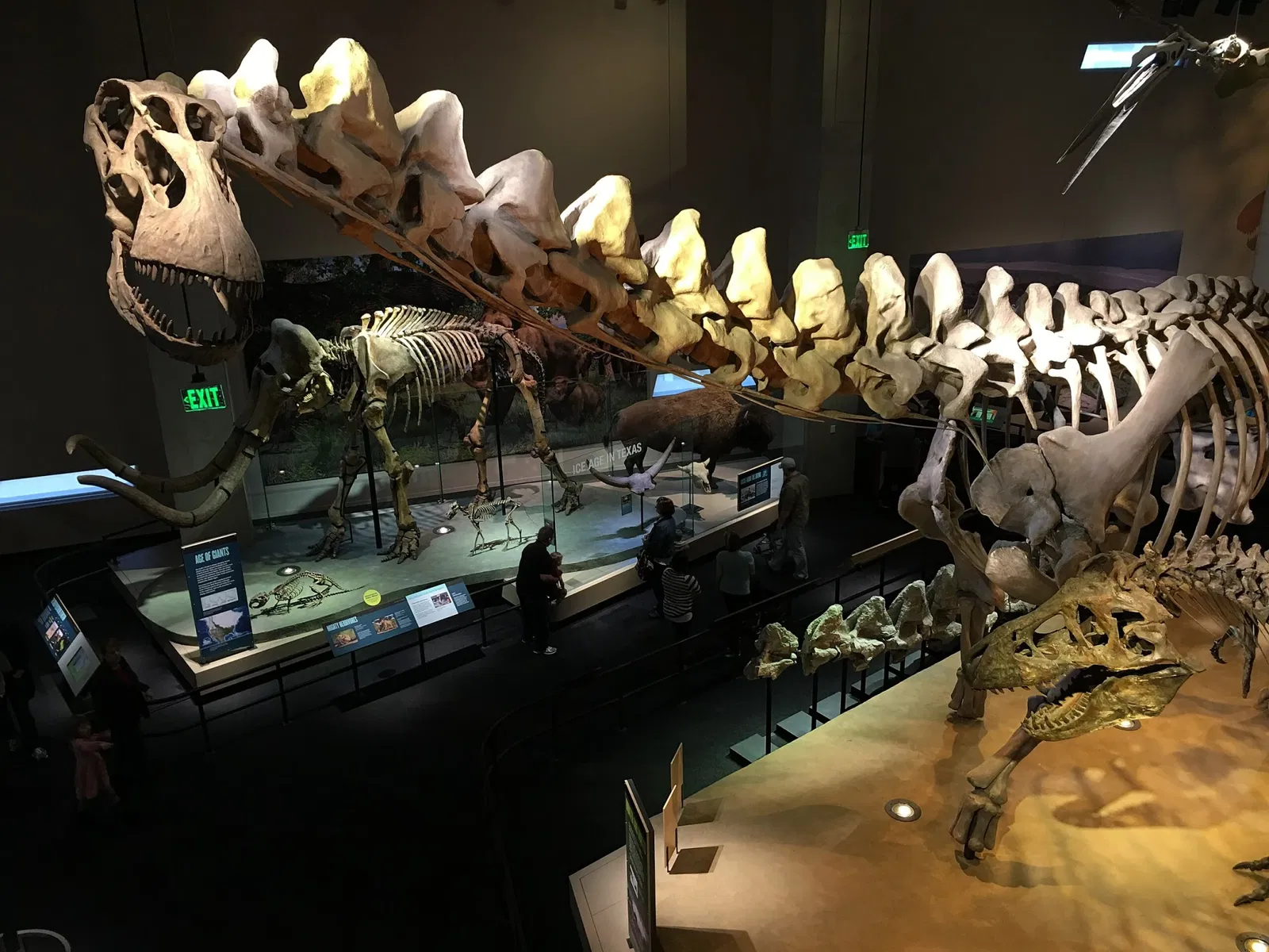 Perot Museum of Nature and Science