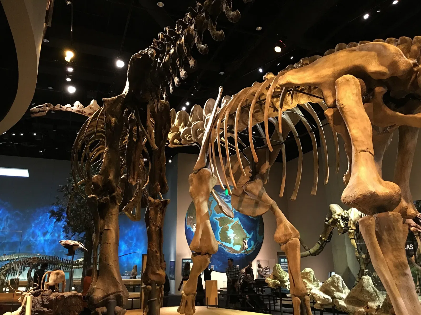 Perot Museum of Nature and Science