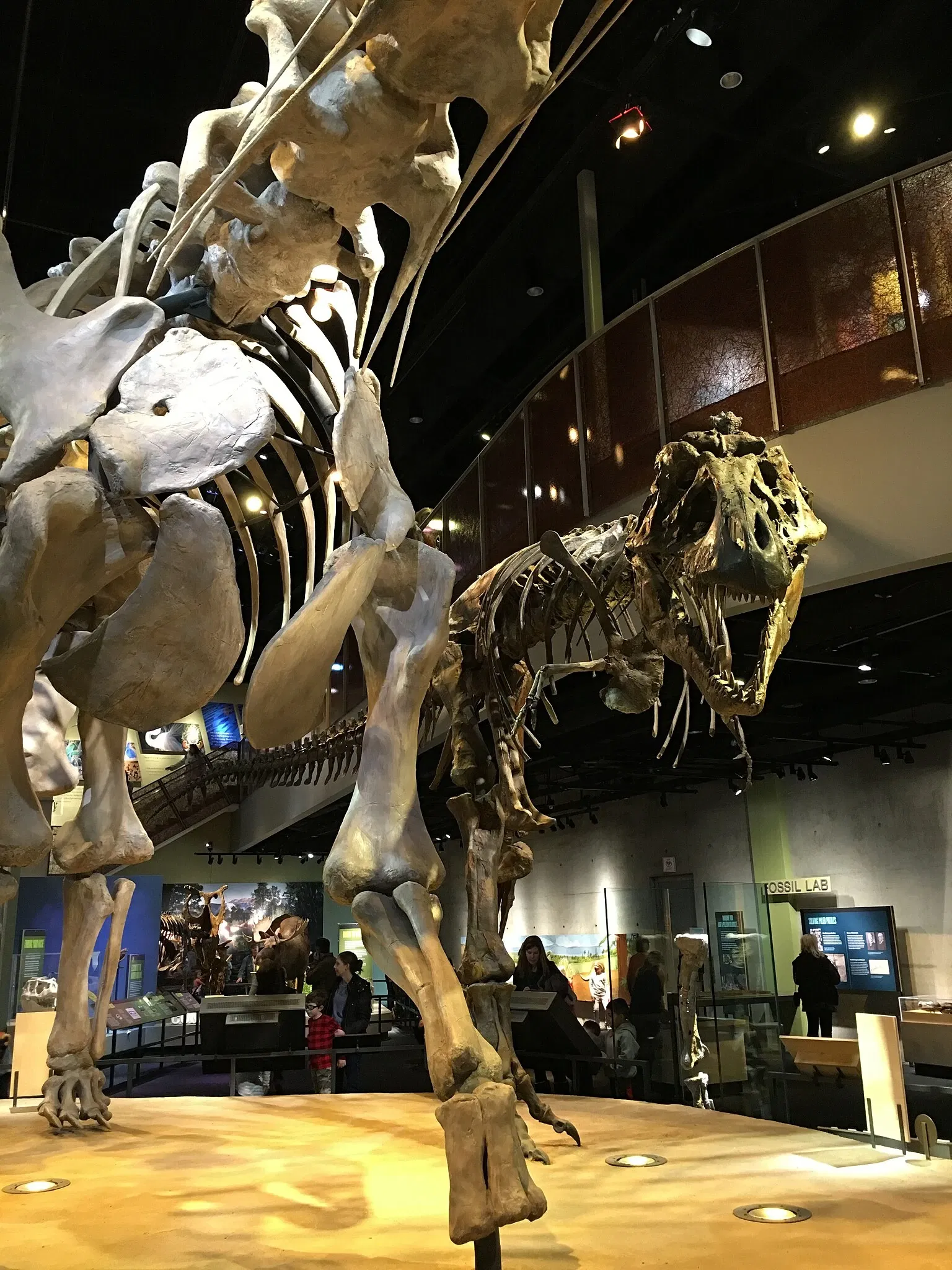 Perot Museum of Nature and Science