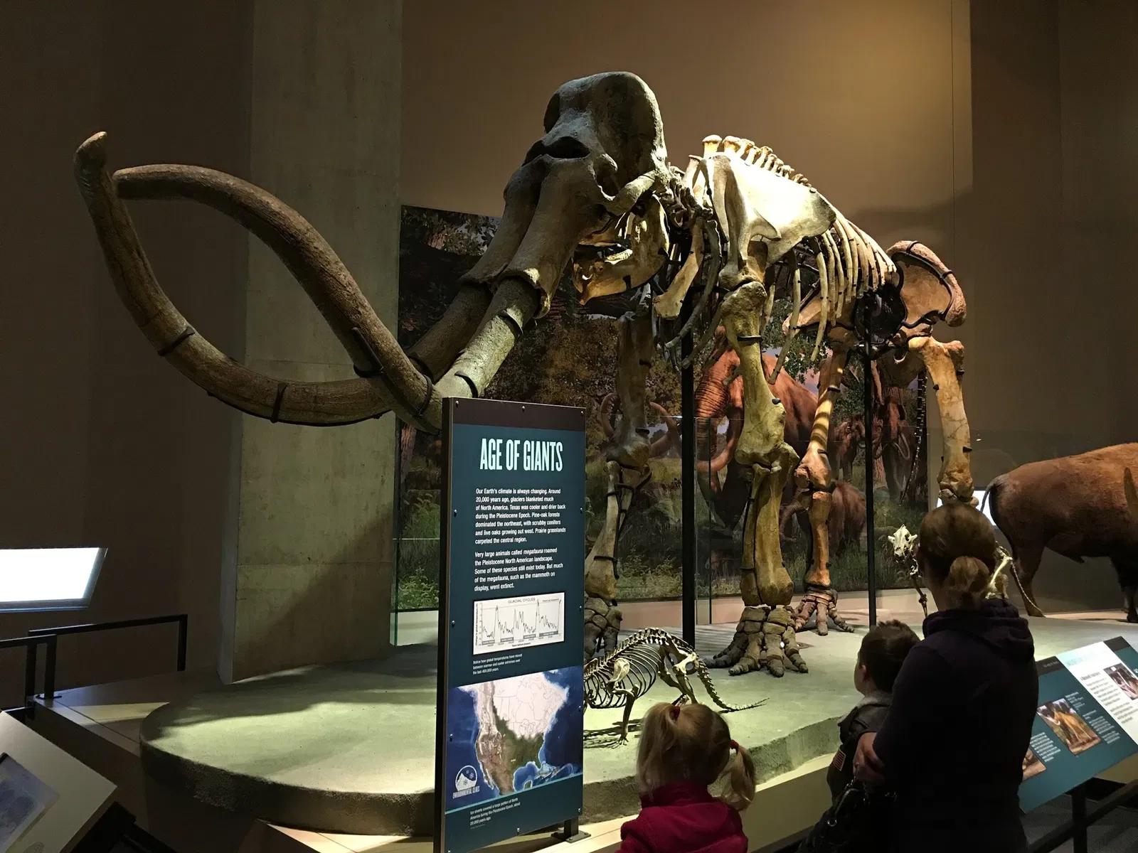 Perot Museum of Nature and Science