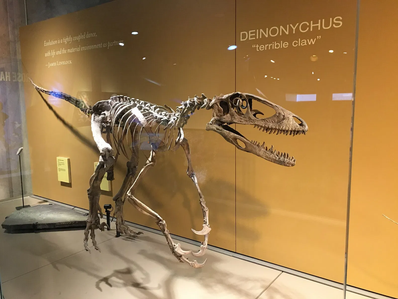 Perot Museum of Nature and Science