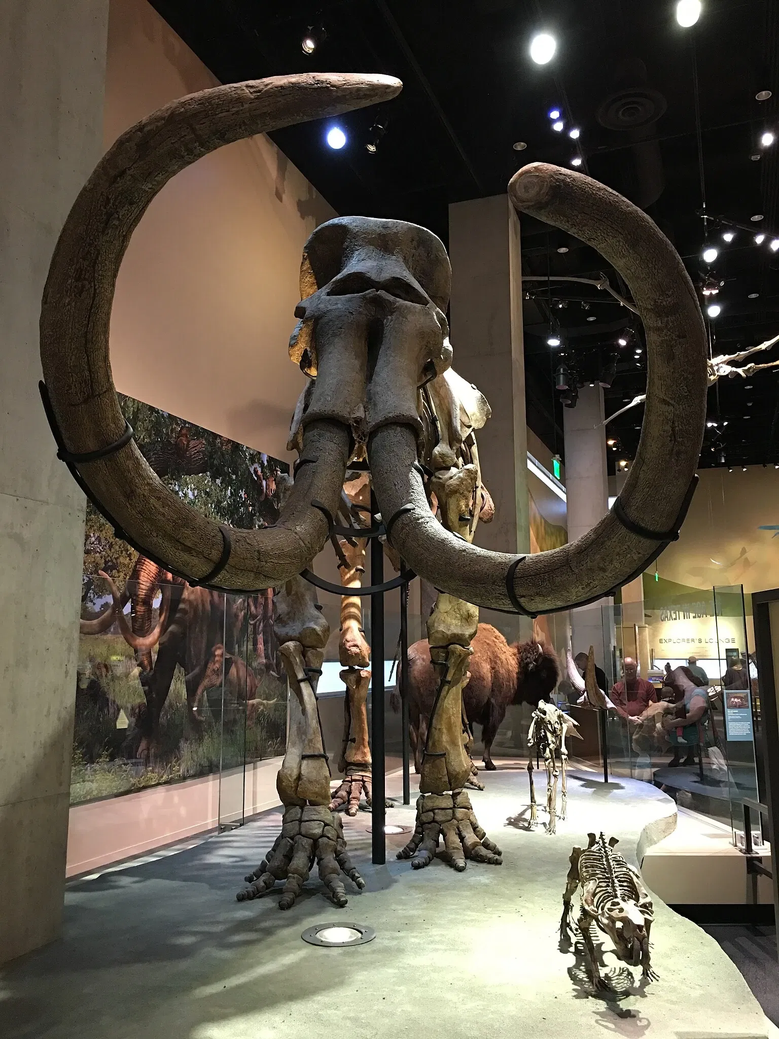 Perot Museum of Nature and Science