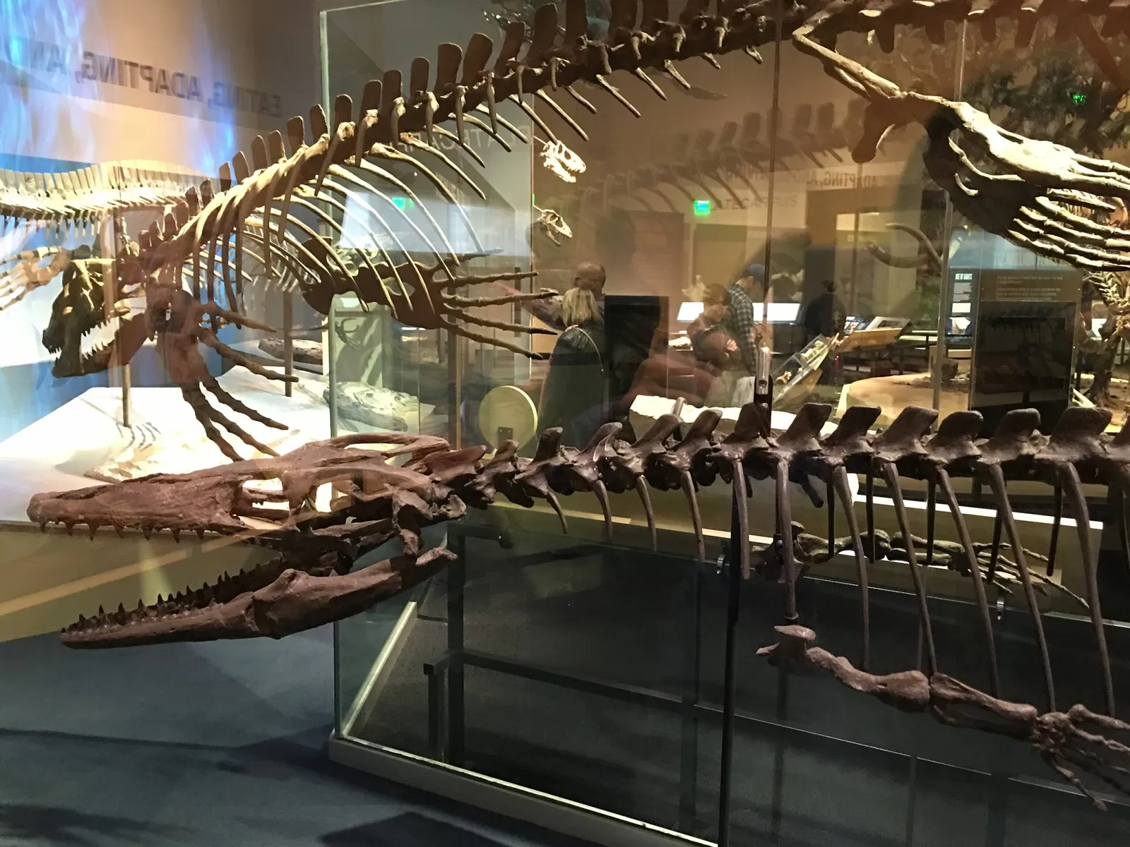 Perot Museum of Nature and Science