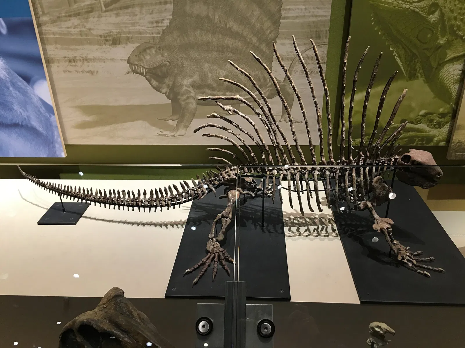 Perot Museum of Nature and Science