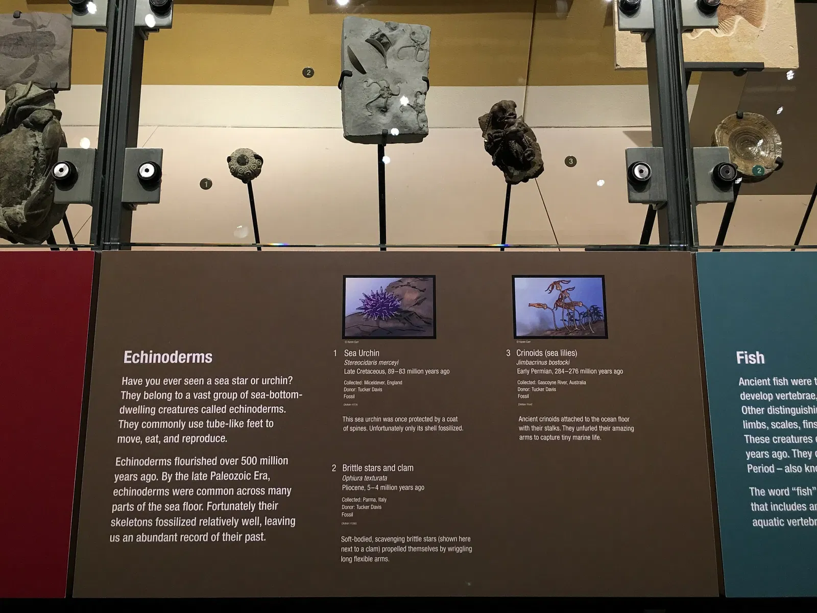 Perot Museum of Nature and Science