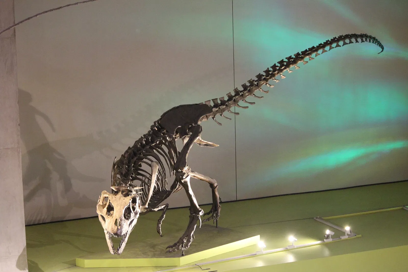 Perot Museum of Nature and Science