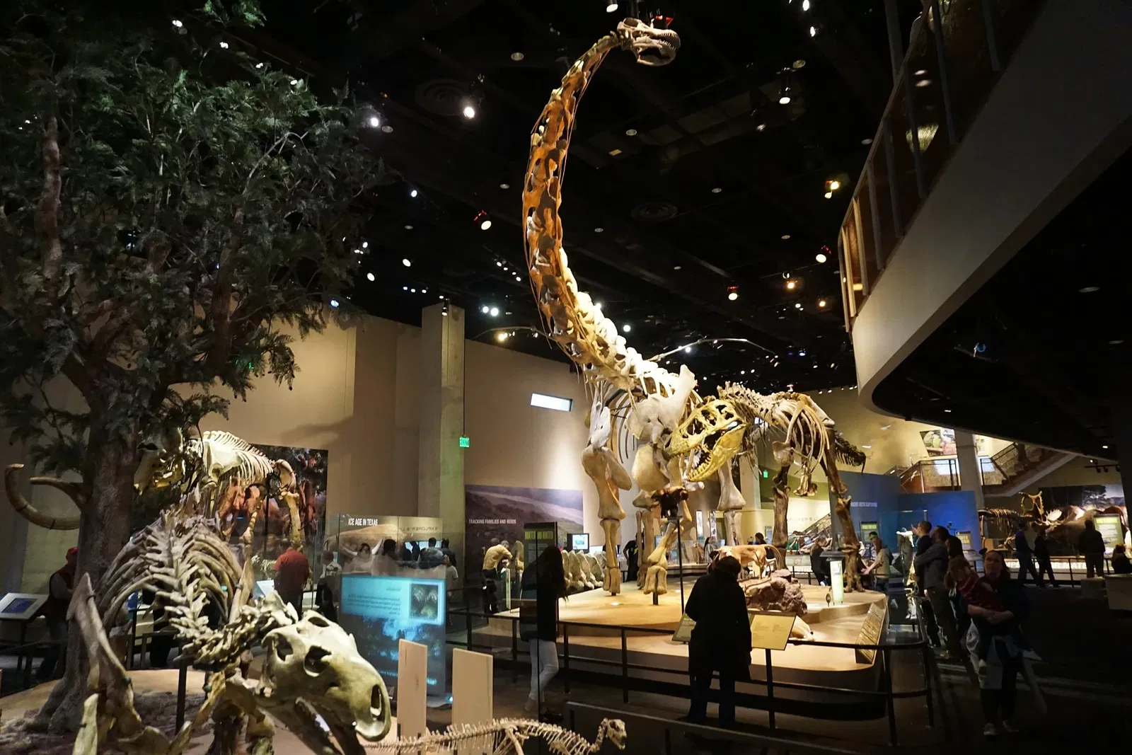 Perot Museum of Nature and Science