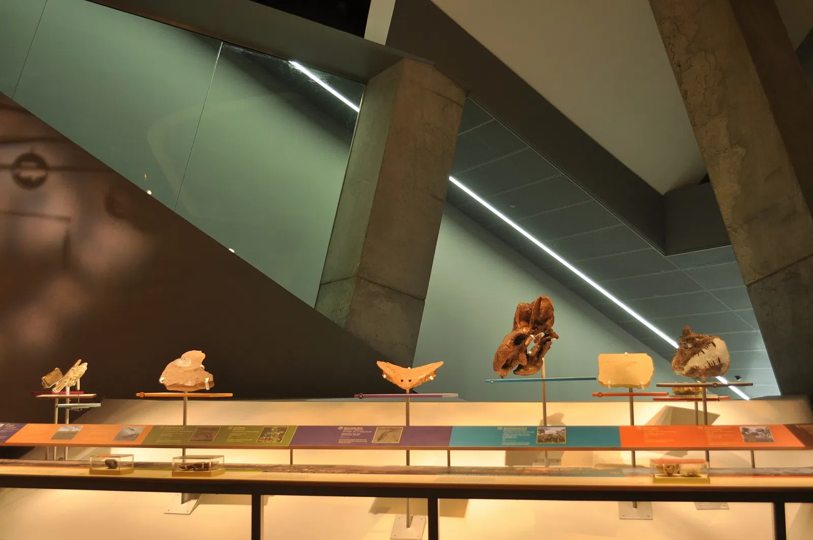 Perot Museum of Nature and Science