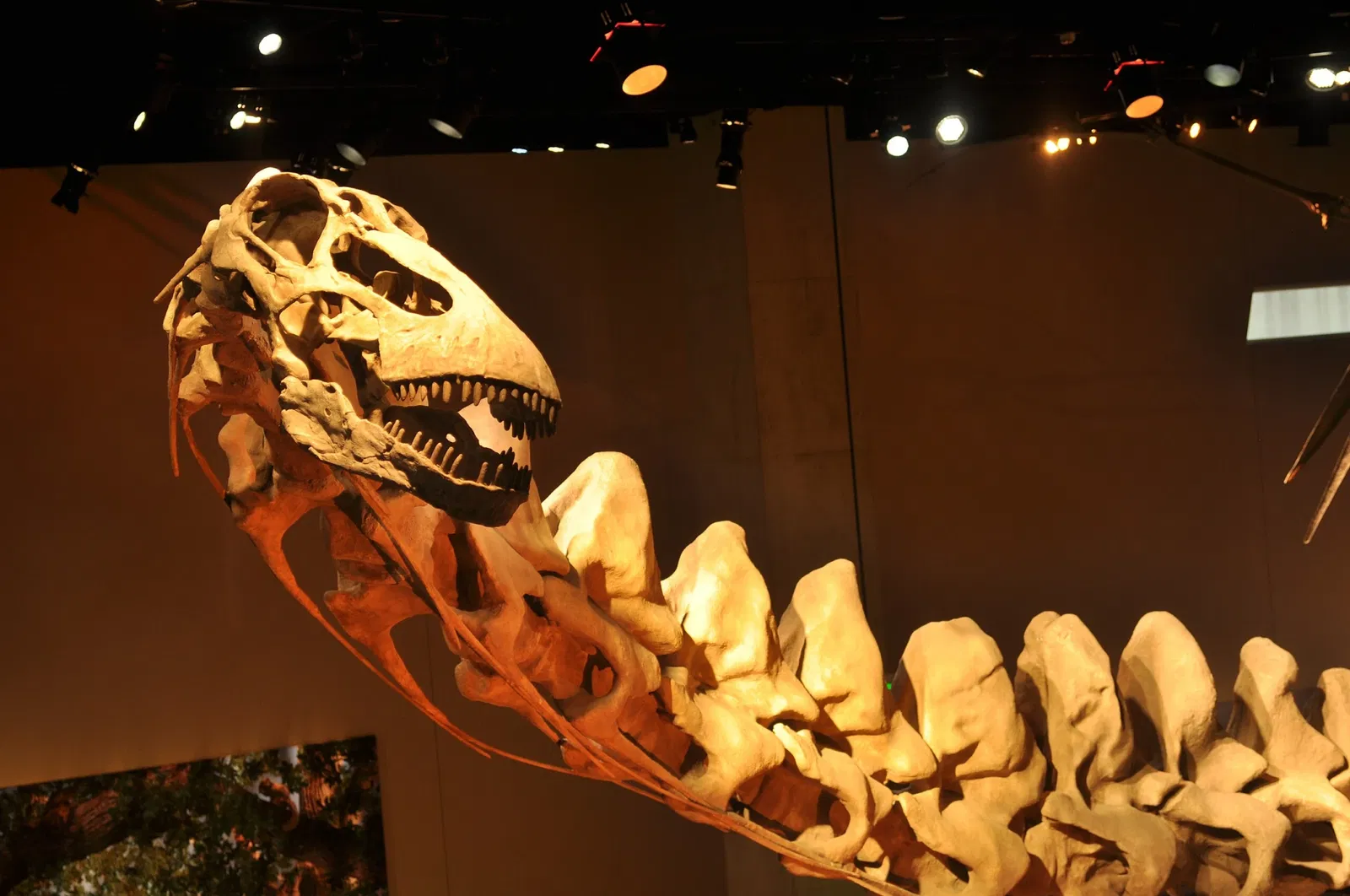 Perot Museum of Nature and Science