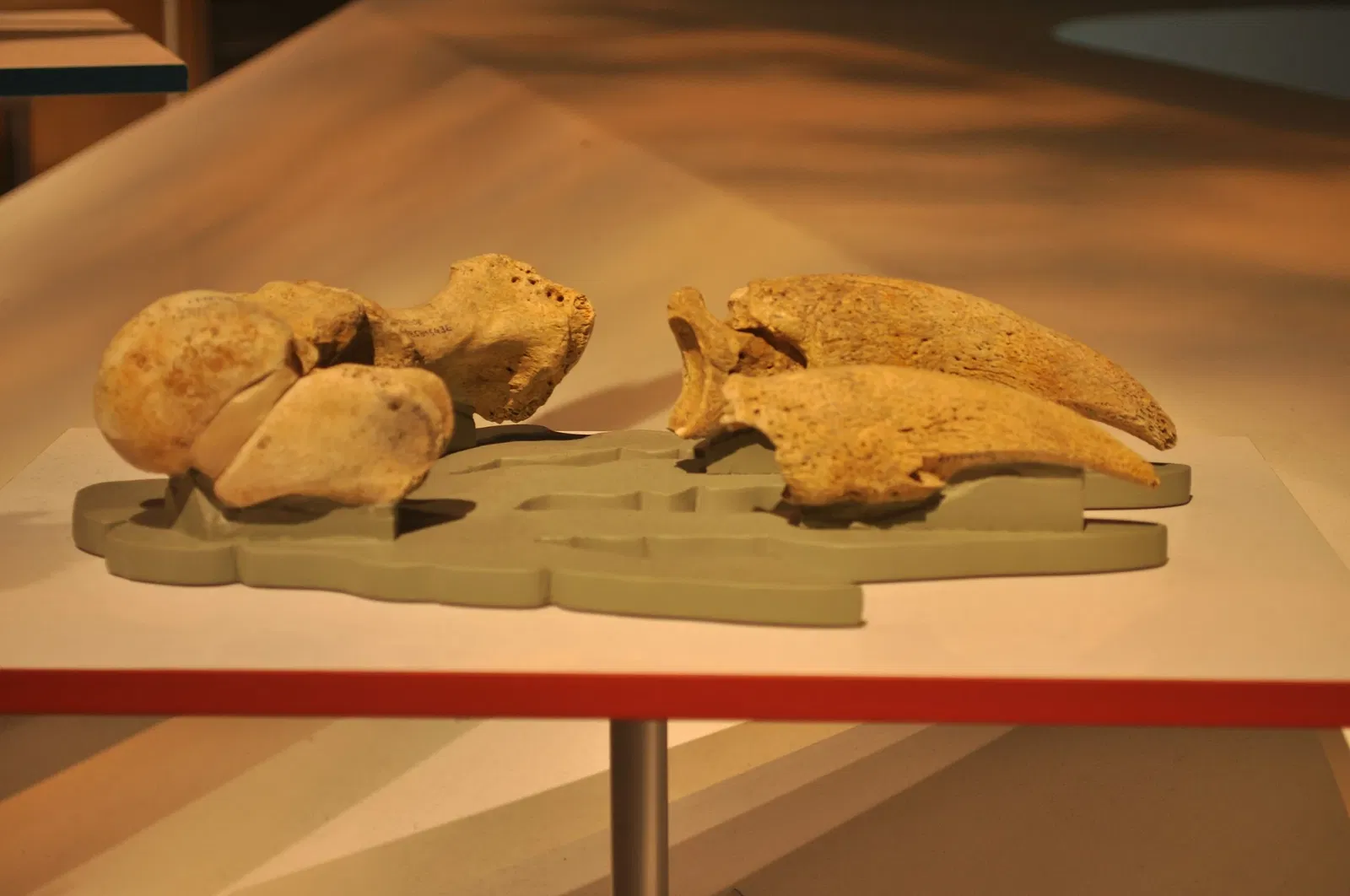 Perot Museum of Nature and Science